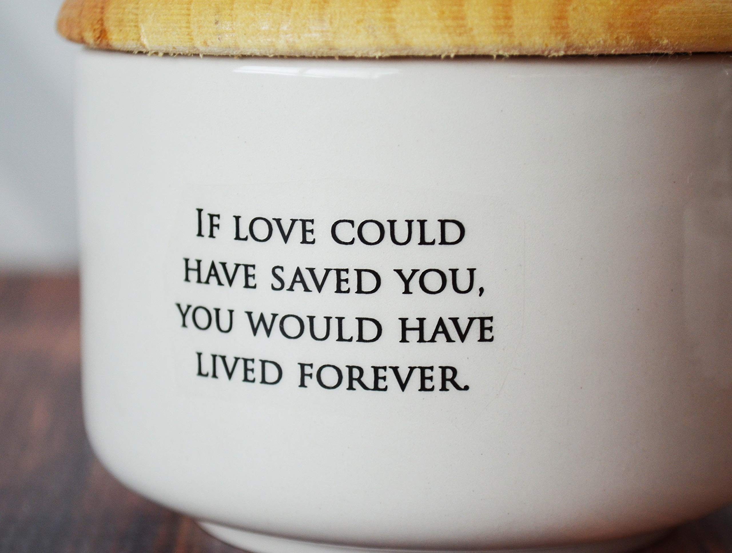 Personalized Pet Urn for Dogs, Cats & All Pets - Custom Engraved Pet Memorial Urn for Ashes - Perfect for Home Memorials, Pet Cemeteries & Keepsake Displays