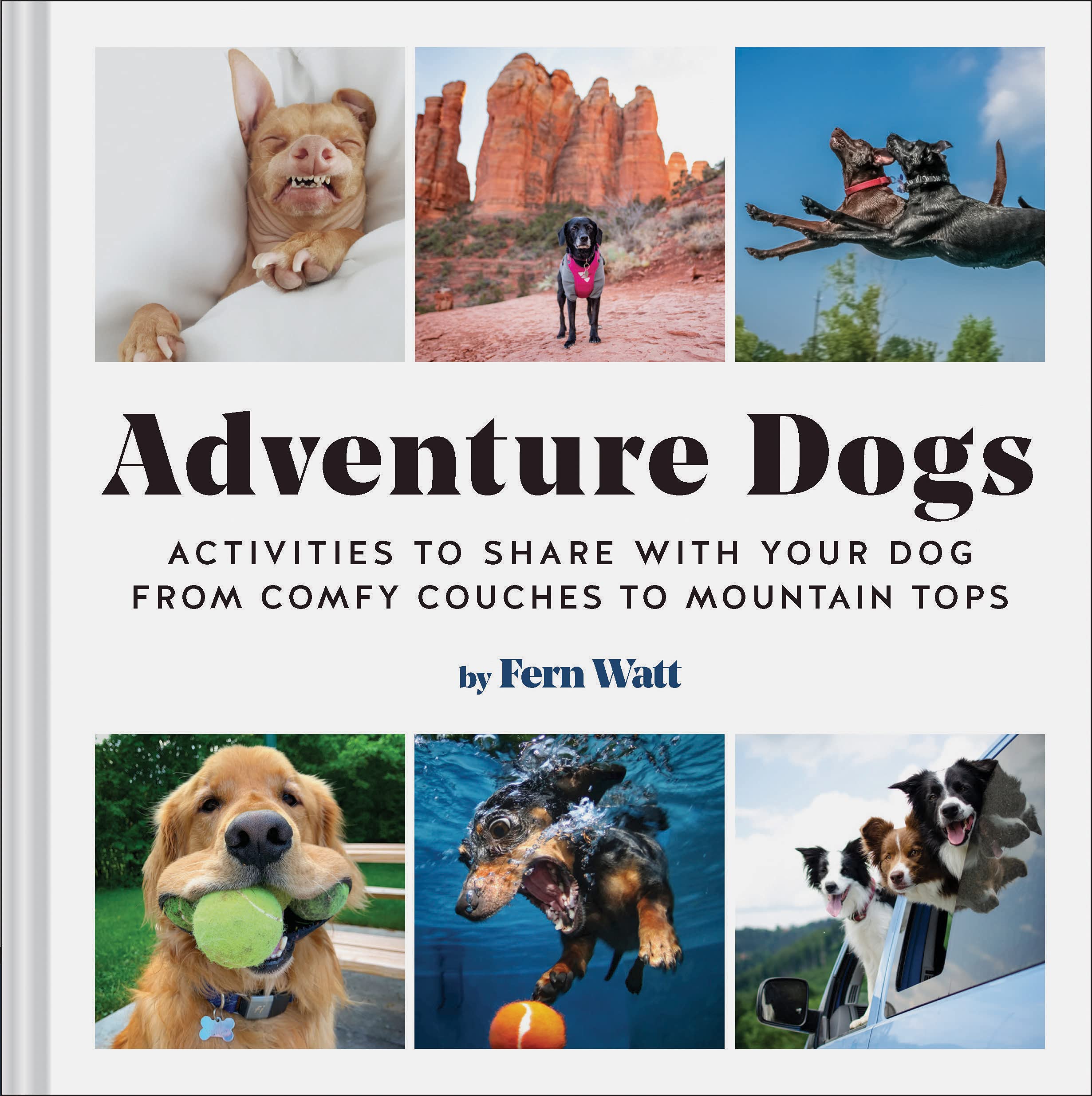 Adventure Dogs: Fun Activities to Share with Your Dog - From Comfy Couches to Mountain Tops | Outdoor & Indoor Bonding for Pet Lovers