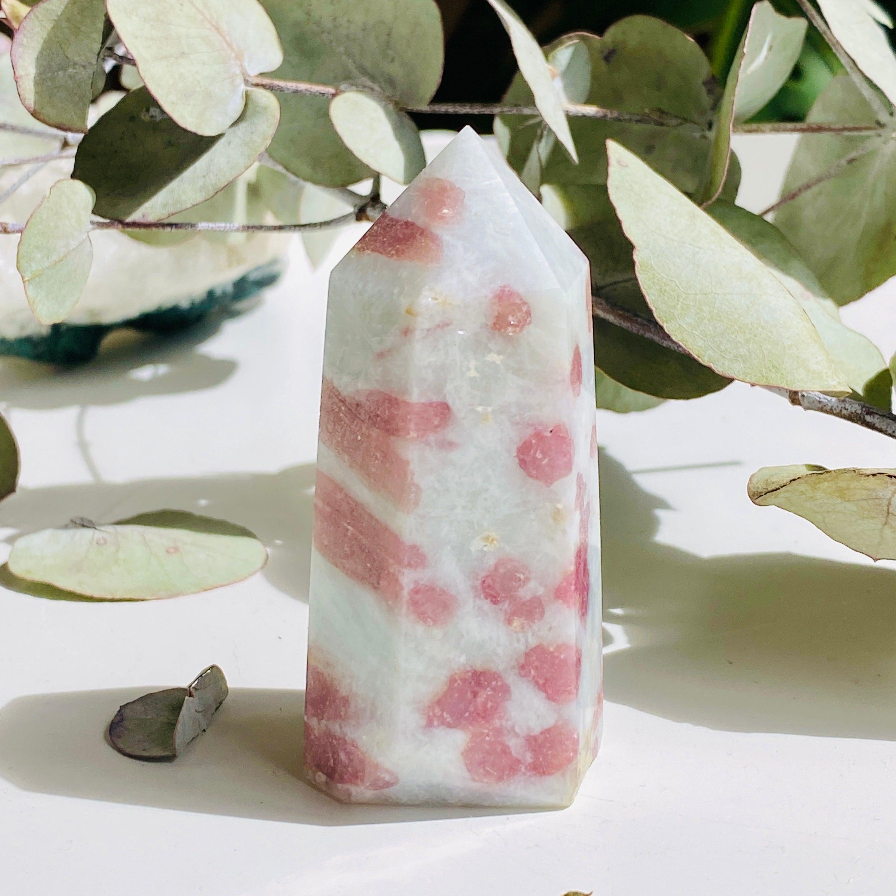 Natural Pink Tourmaline in Schist - Small Point Specimen c1450 | Gemstone Collection, Healing Crystals & Mineral Display for Home Decor