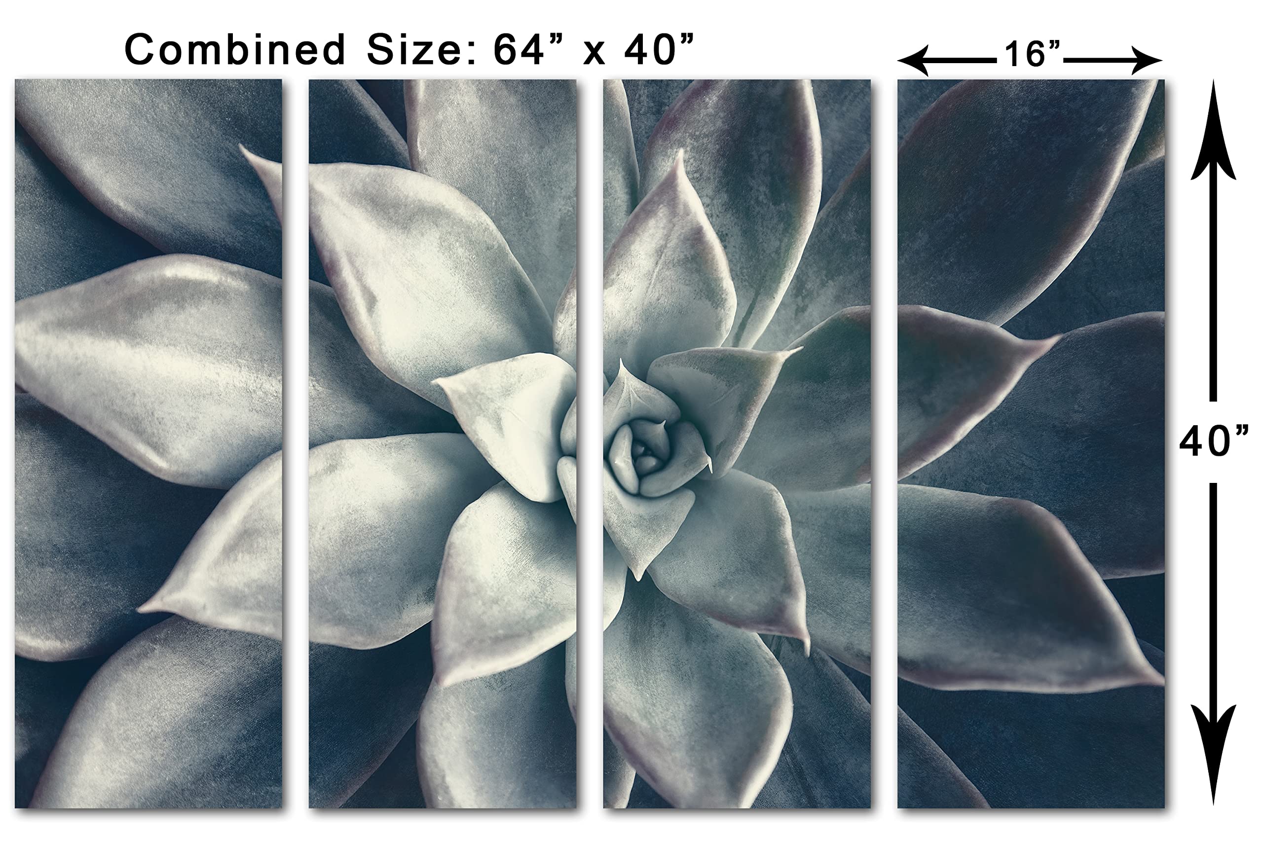 64 x 40 Inch Echeveria Succulent Canvas Wall Art - 4 Panel Split Botanical Plant Painting in Dark Teal | Perfect for Living Room, Bedroom & Office Decor