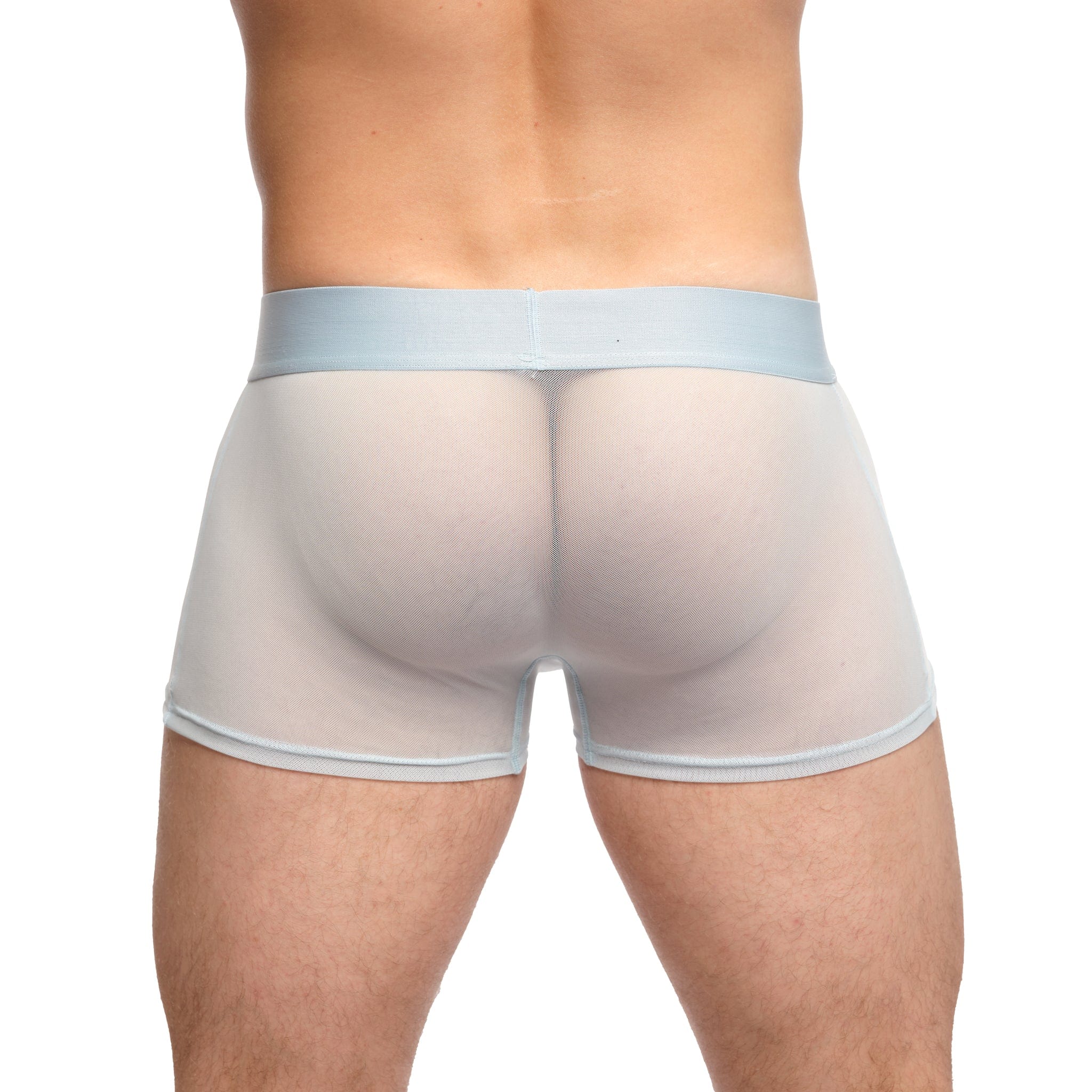 Just The Bones Sheer Trunk Sky - Comfortable & Stylish Women's Underwear for Everyday Wear, Sleep & Lounge