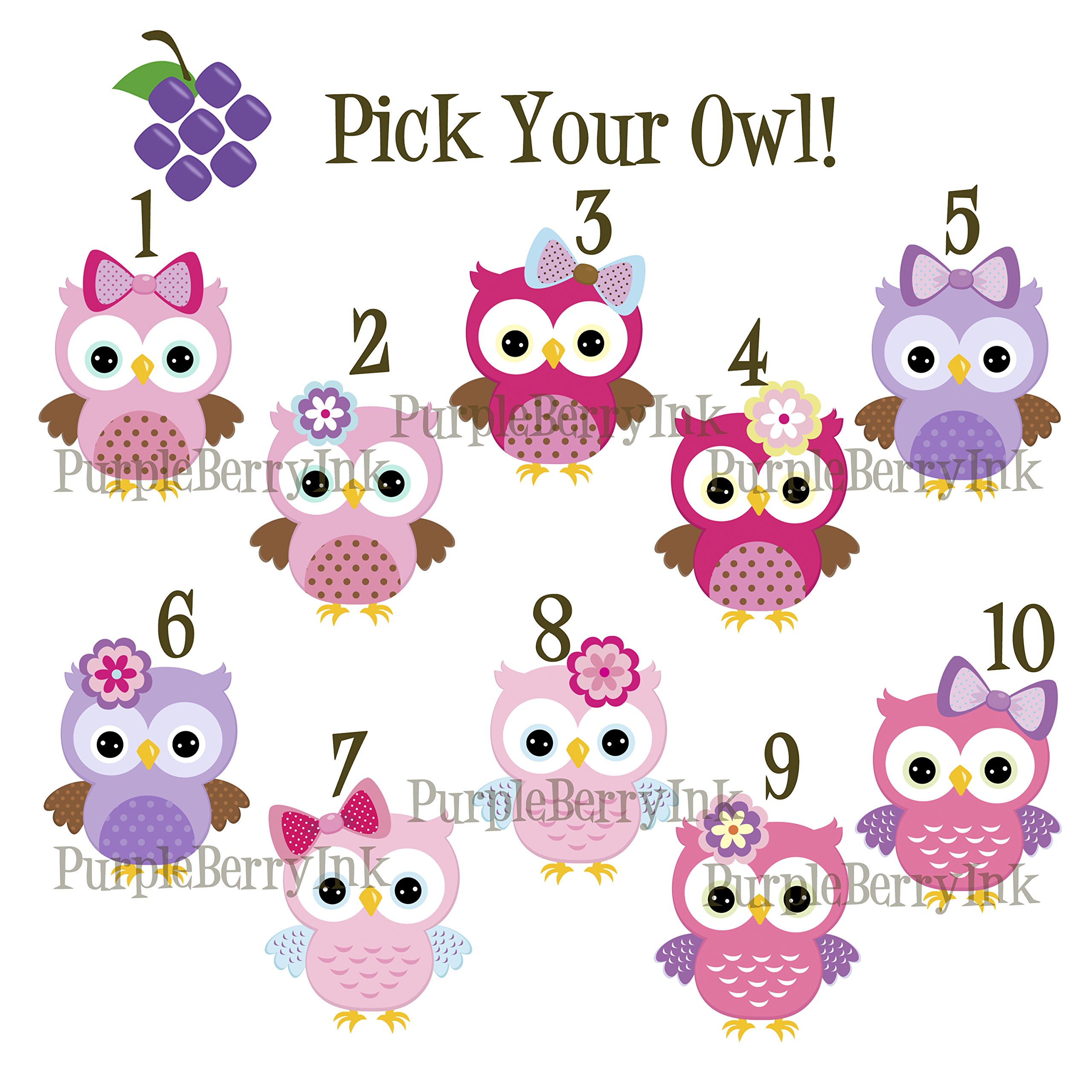 Personalized Owl Blanket with Name - Soft Gray Bird Design Blanket for Adults & Kids - Perfect for Gifts, Nursery Decor, and Cozy Home Use