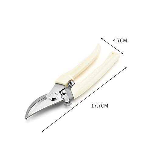 Stainless Steel Garden Pruning Shears - Professional Gardening Scissors for Trimming Trees, Flowers & Branches | Heavy Duty Plant Trimmer Tool for Home Gardeners & Landscaping Use