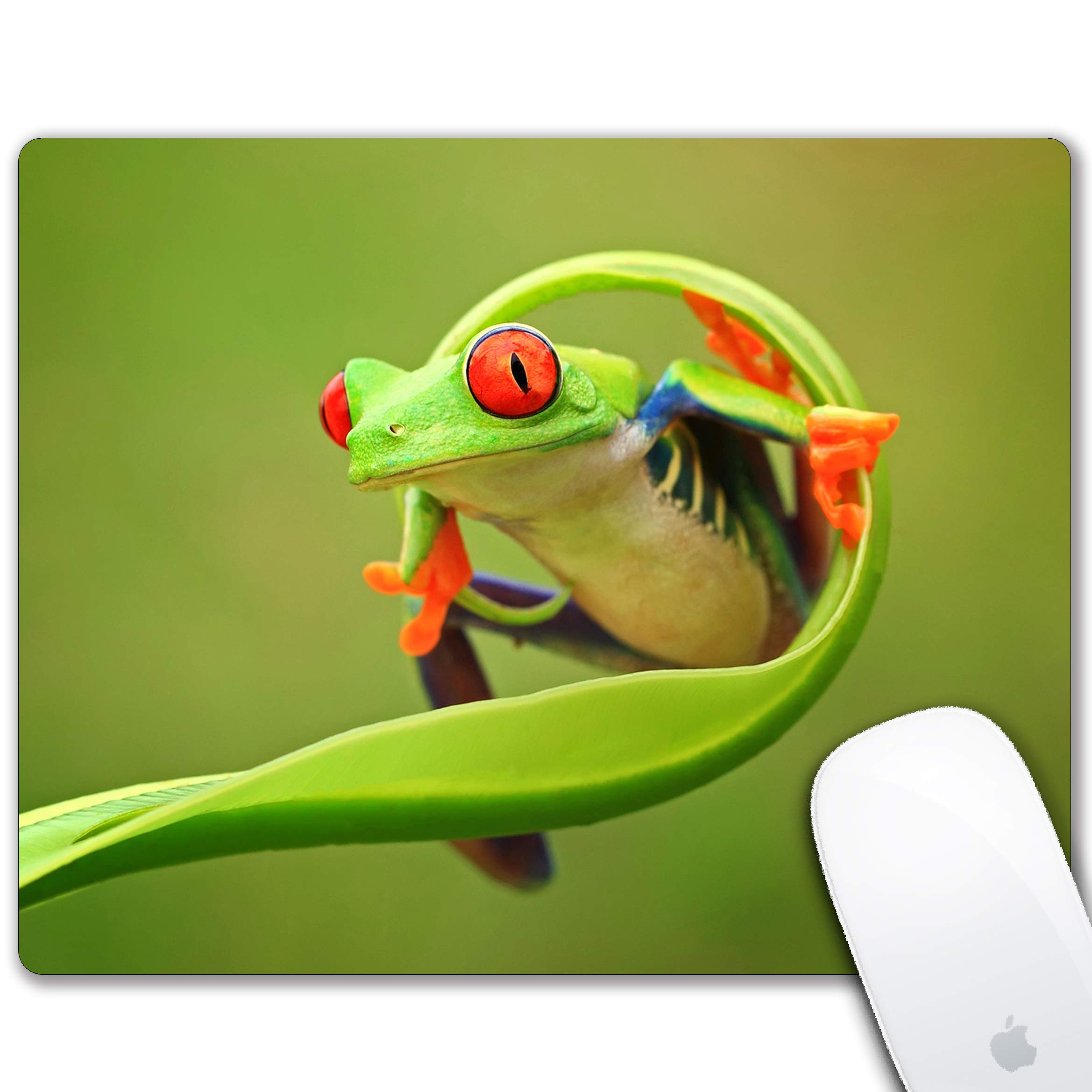 Cute Frog Green Mouse Pad - Non-Slip Rubber Base Washable Small Mousepad 9.5