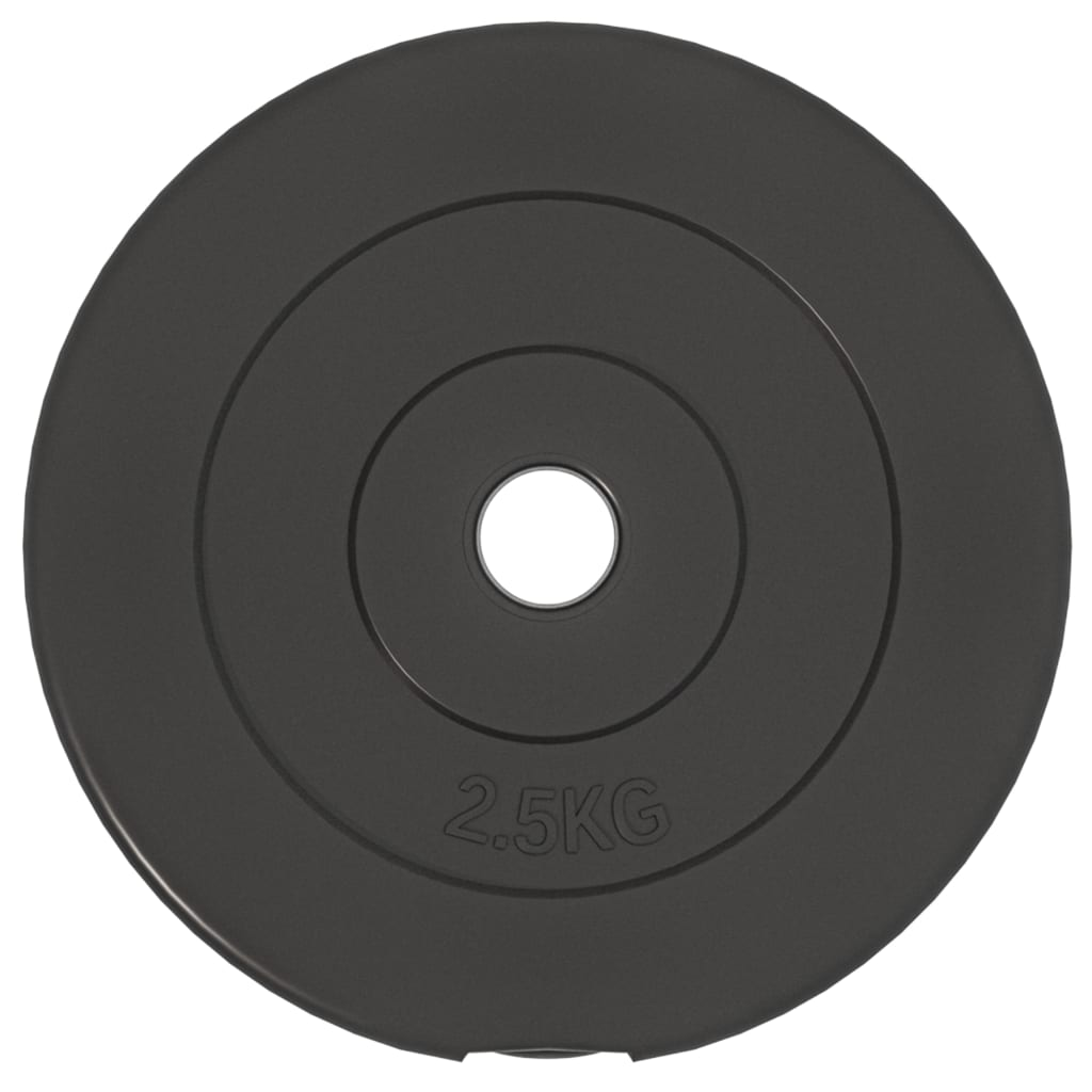 vidaXL 6-Piece 30 kg Cement Weight Plates Set for Home Gym, Strength Training & Fitness Workouts - Durable & Heavy-Duty Exercise Equipment