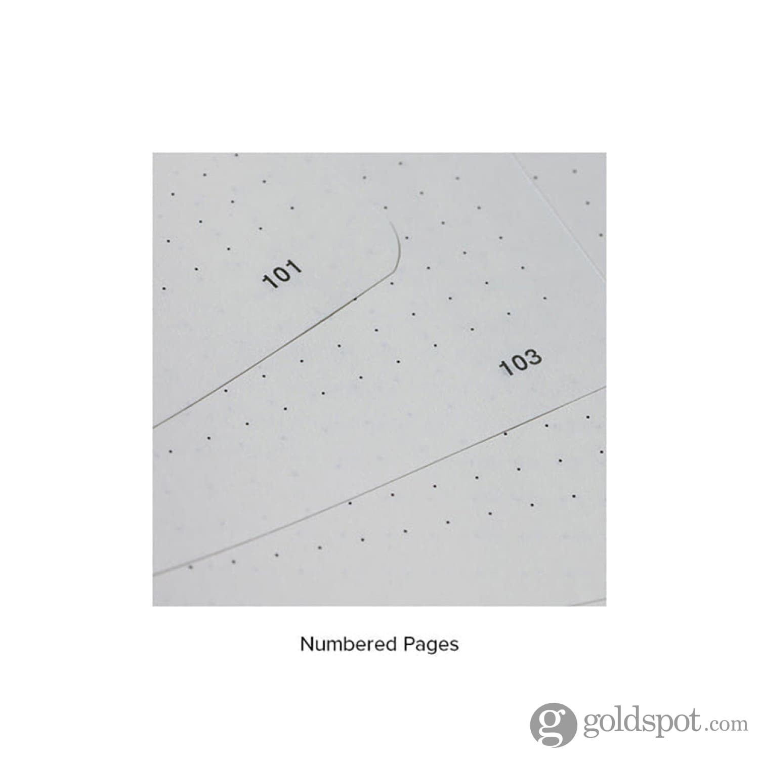 Endless Recorder A5 Dotted Notebook - 80gsm Regalia Paper, Forest Canopy Design | Perfect for Journaling, Sketching & Bullet Journaling