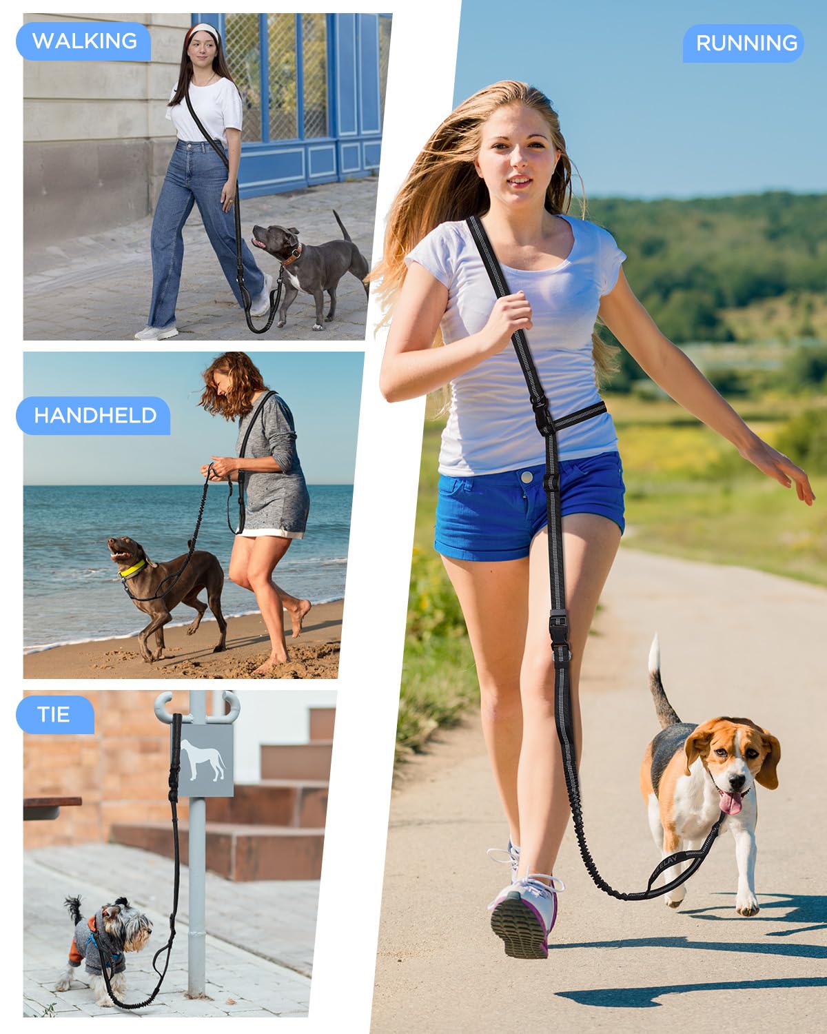 Hands Free Bungee Dog Leash with Dual Padded Handles & Reflective Threading - Adjustable Crossbody Leash for Medium to Large Dogs (30-90 lbs) - Perfect for Jogging, Running, Walking & Safe Car Travel with Seatbelt Attachment