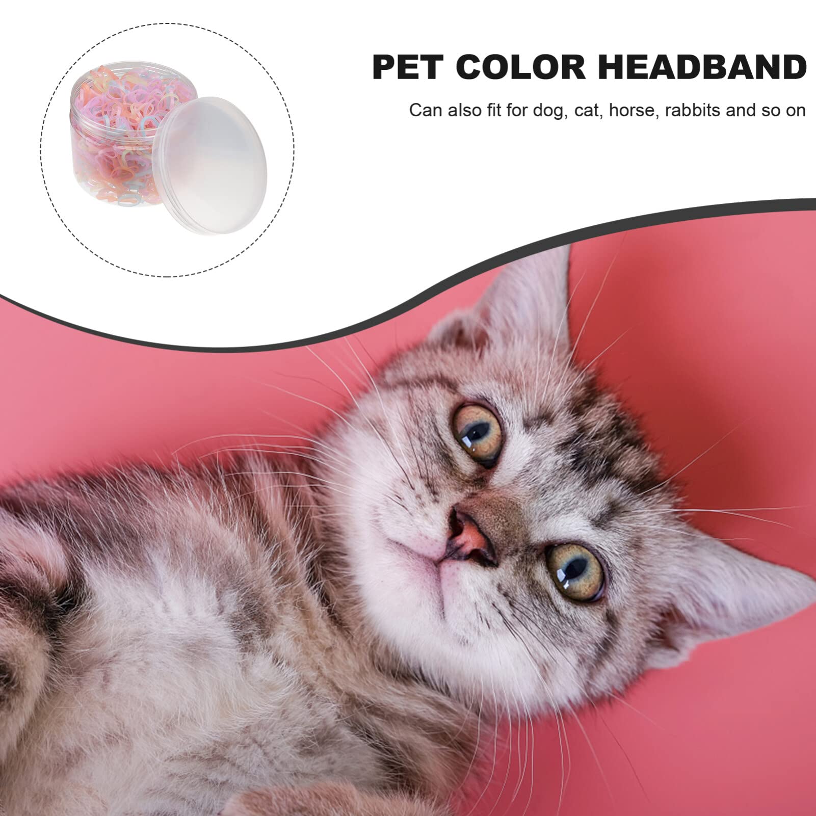 1 Box of 700Pcs Soft Elastic Dog Hair Bands - Colorful Pet Grooming Rubber Bands for Topknots, Puppy Hair Ties & Pet Accessories | Perfect for Dog Shows, Daily Grooming & Styling