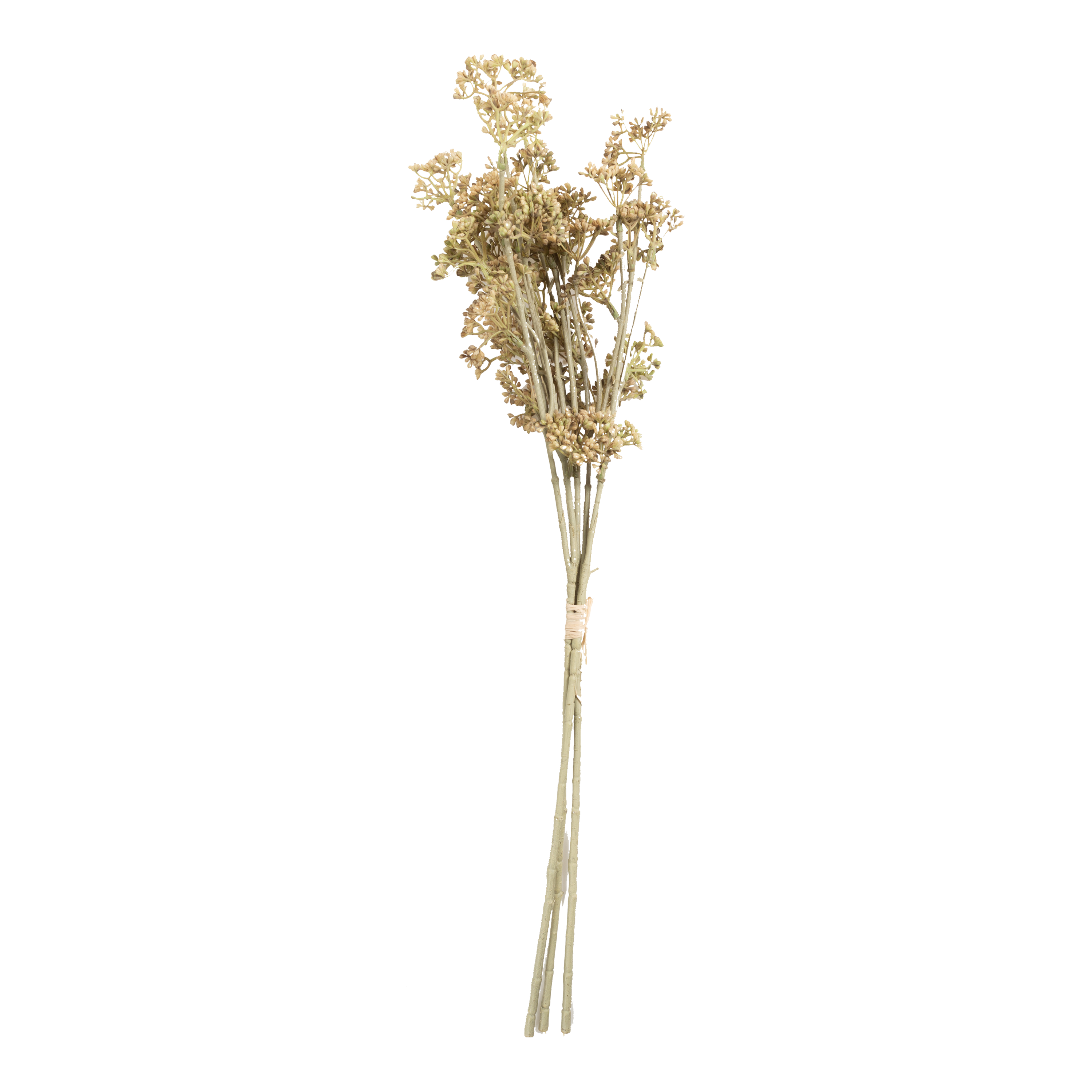 Premium Natural Meadow Sedge Stems for DIY Floral Arrangements, Wreaths & Home Decor - Dried Grass Stalks for Rustic Wedding Centerpieces, Seasonal Crafts and Table Settings