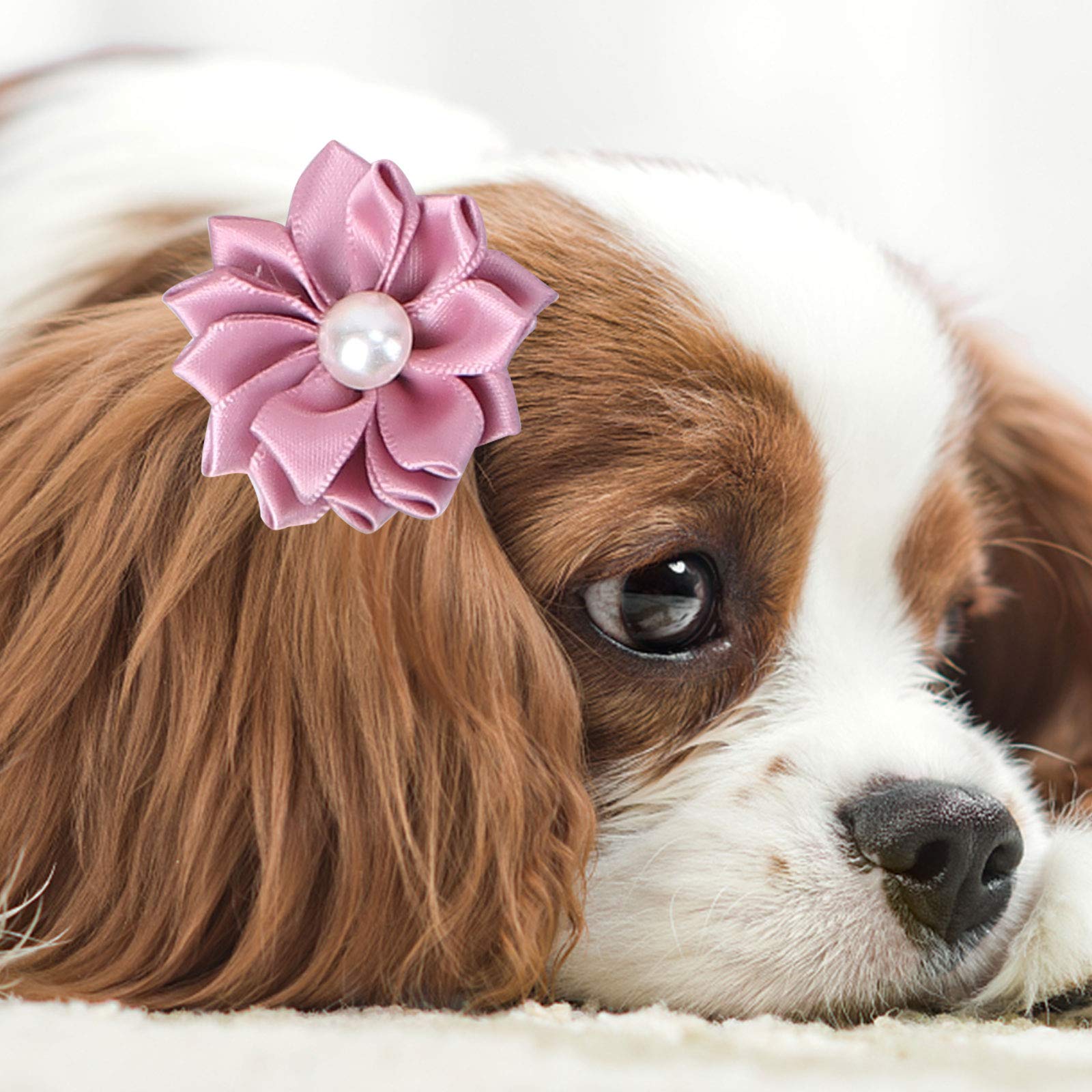40pcs Pet Hair Ties for Dogs & Cats - Soft Elastic Hair Rings for Grooming, Training & Play - Secure Hair Holder for Long Haired Pets - Perfect for Home, Travel & Outdoor Use