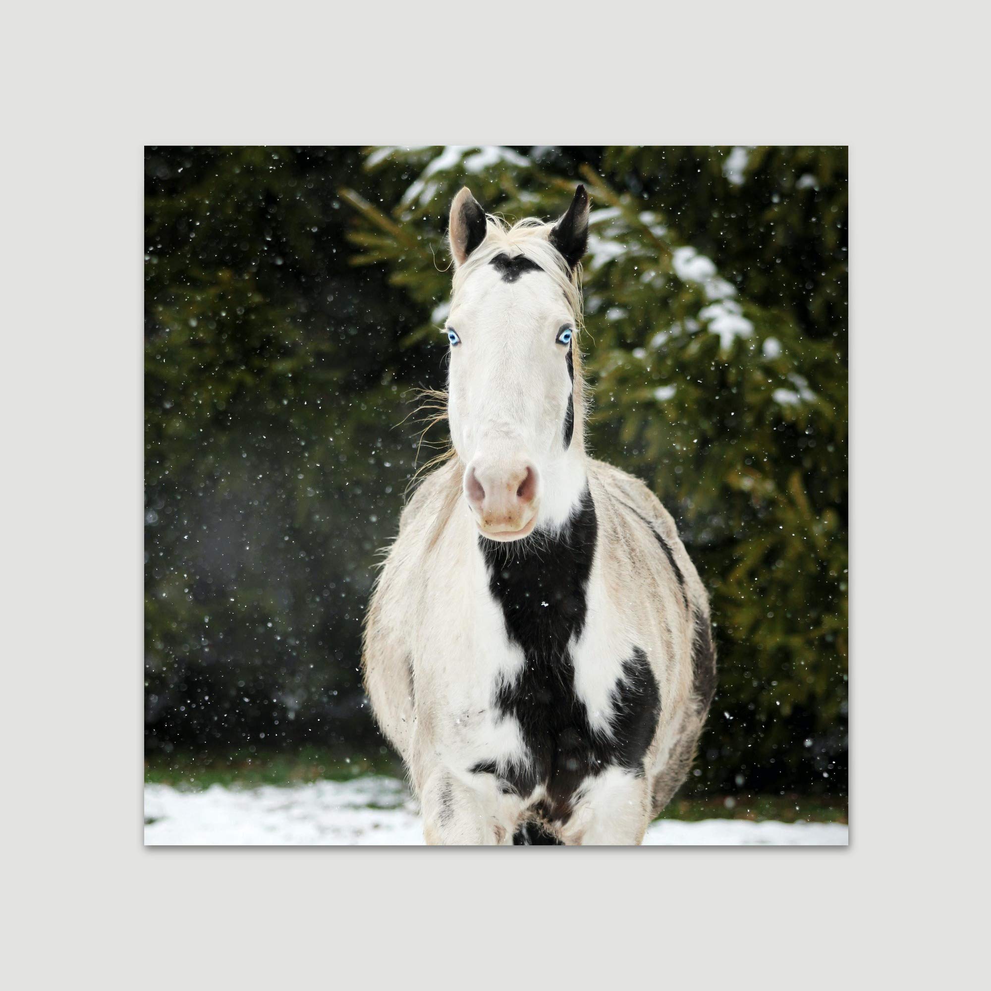 Premium Horse XVIII Animals Dramatic Farmhouse Wall Art Print - 16x16 Inch Country Style Photography for Living Room & Bedroom Decor - Ready to Hang - Perfect for Rustic, Western & Equestrian Home Decor