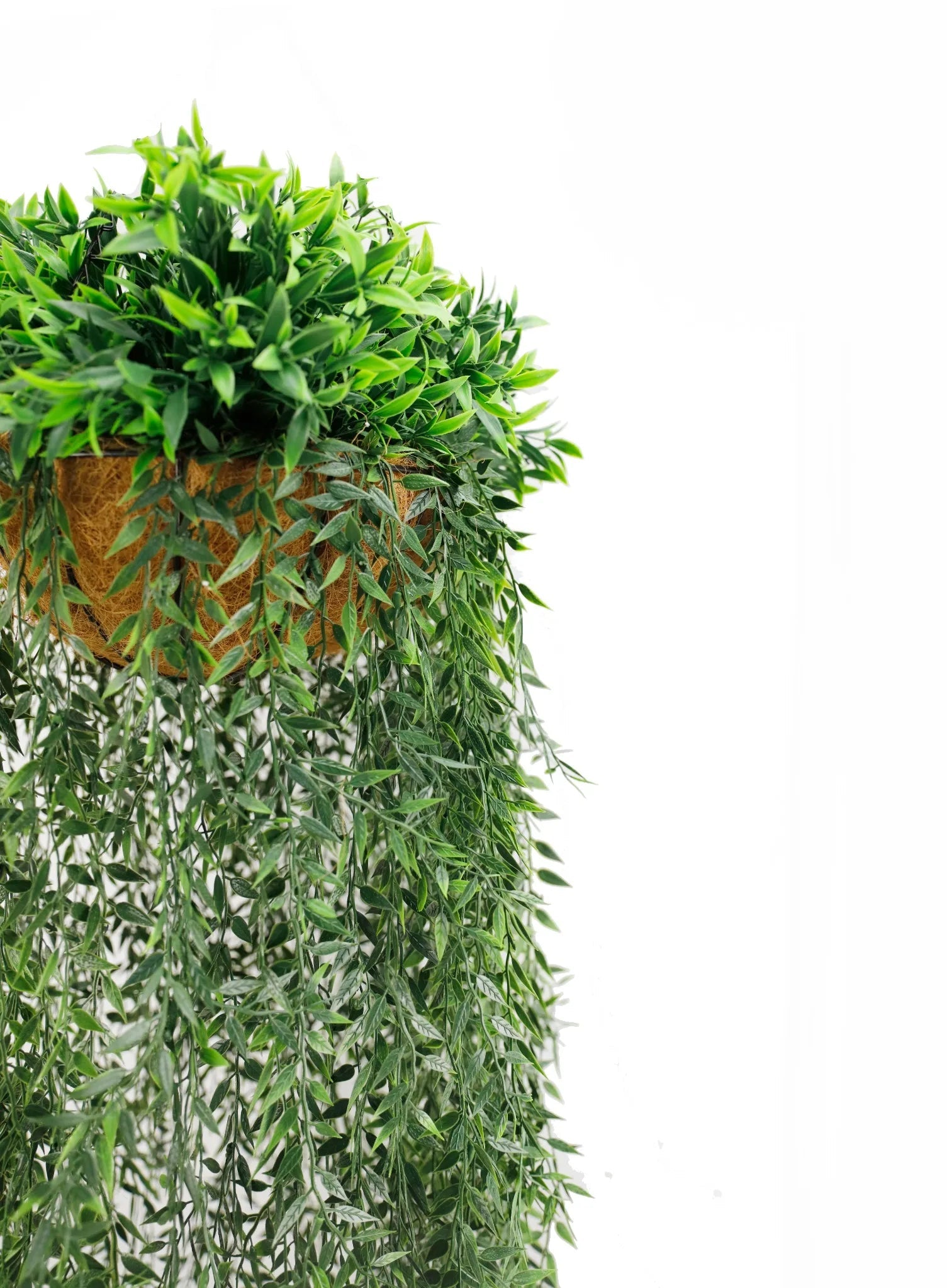 Premium UV-Resistant Hanging Fern Basket - 35cm x 140cm Indoor/Outdoor Plant Holder for Patio, Balcony & Garden Decor
