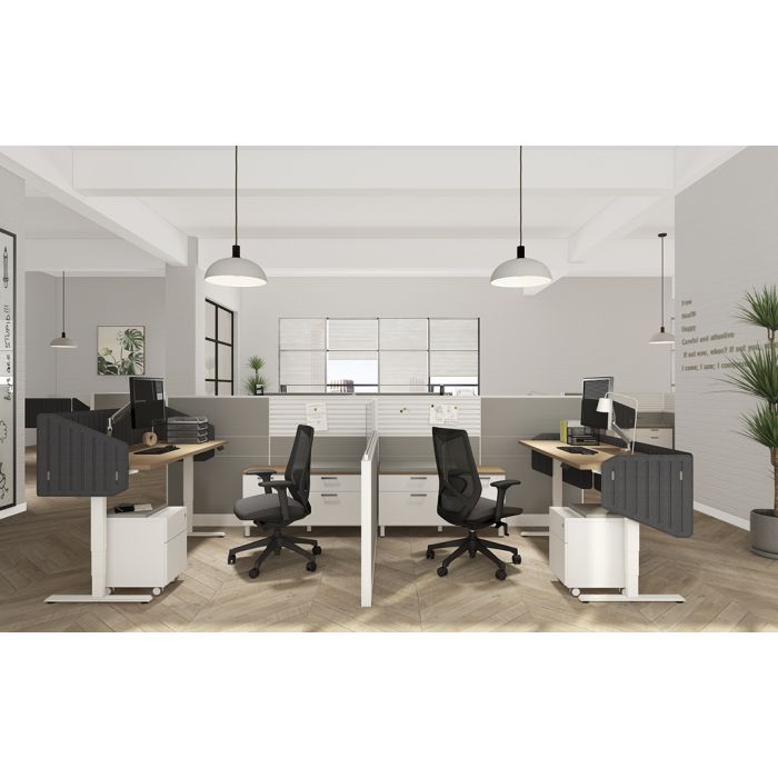 Friant Ignite Mesh Task Chair FD00253 - Ergonomic Office Chair with Adjustable Height & Lumbar Support for Home & Office Workspaces