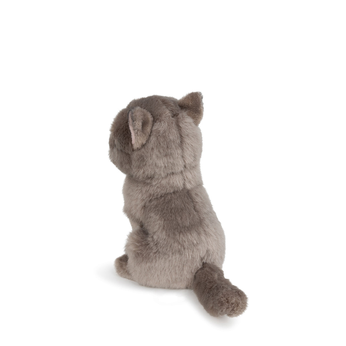 B.T. Chaps Freddy The British Shorthair Floppy Plush Toy in Gift Box - 17cm (6.5 inches) - Perfect for Cat Lovers, Birthday Gifts & Home Decor