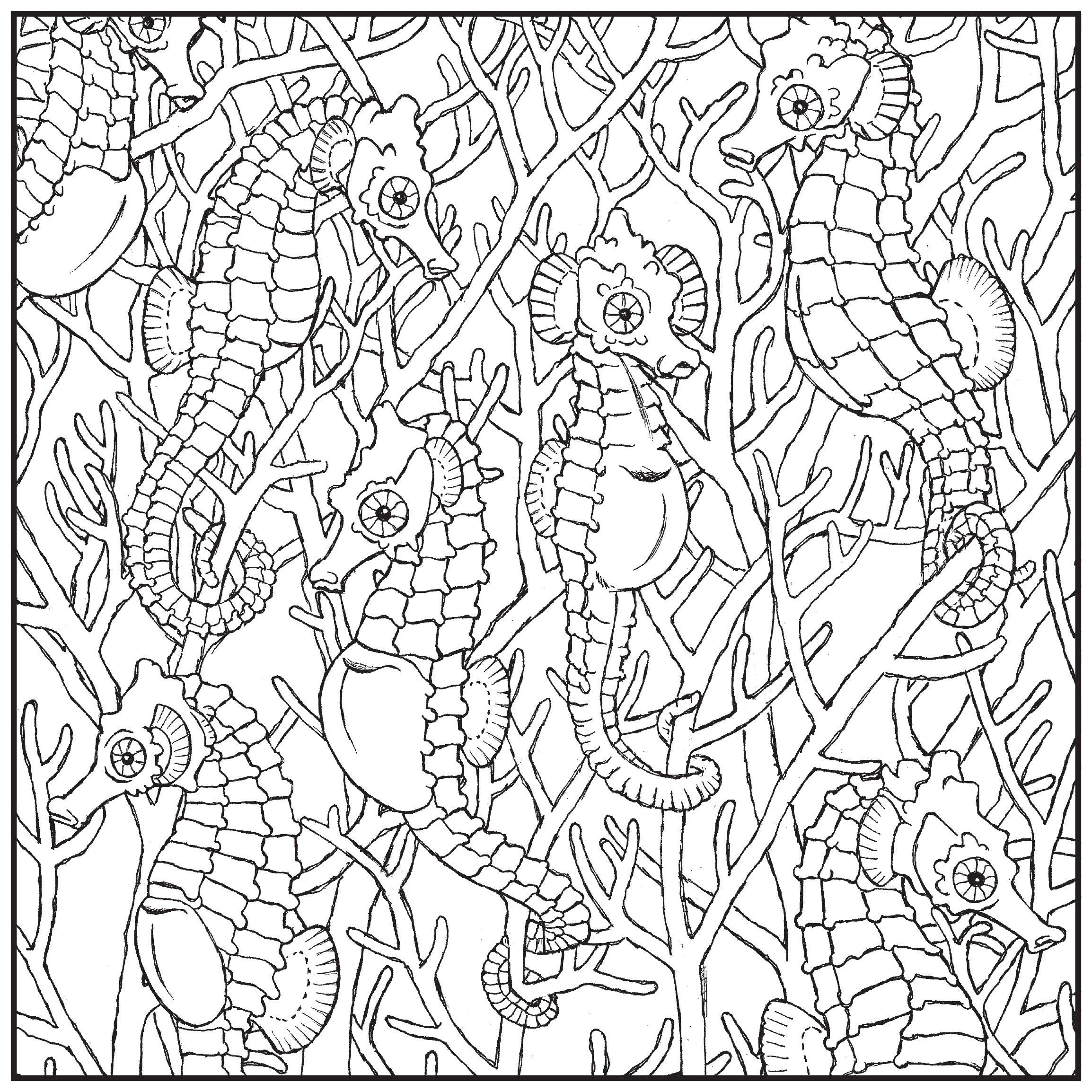 Sea & Ocean Life Adult Coloring Book with Relaxing Music CD - Stress Relief & Mindfulness Coloring for Adults | Perfect for Meditation, Art Therapy & Relaxation at Home