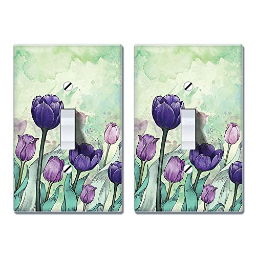 Tulips Flowers