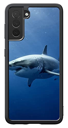 For Galaxy S21