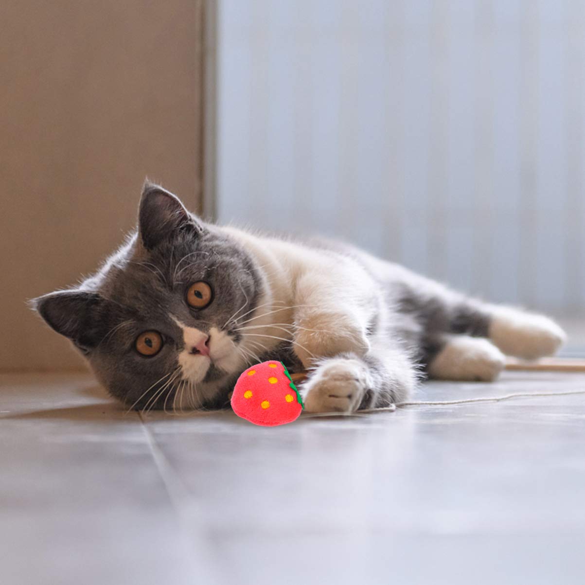 Balacoo 4Pcs Plush Kitten Chew Toys - Soft Cat Teething Toys with Cute Fruit Patterns for Teeth Cleaning, Play & Chewing | Perfect for Kittens & Adult Cats (Home, Travel, Interactive Play)