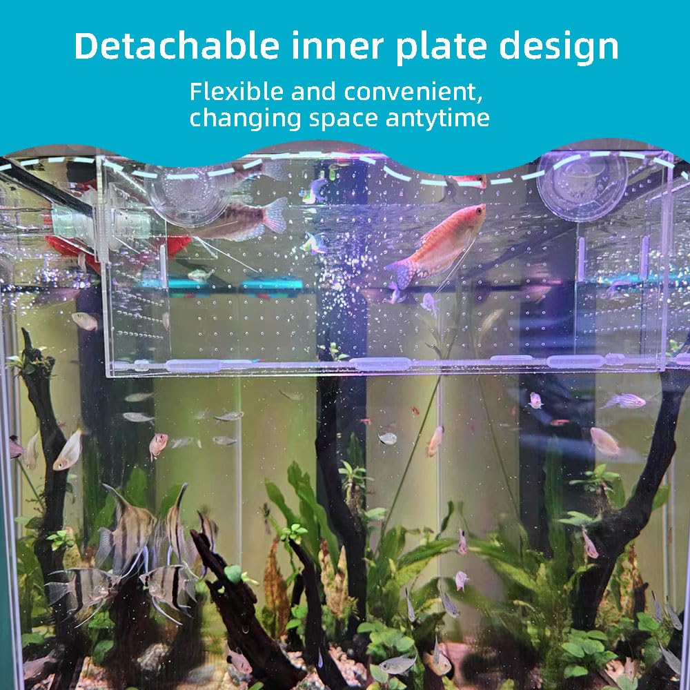 Acrylic Fish Breeding Box - Aquarium Hatchery & Isolation Tank with Suction Cups for Baby Fish, Shrimp & Clownfish (11.8x5.9x5.9 Inch) - Perfect for Fry Protection, Quarantine & Breeding in Home Aquariums