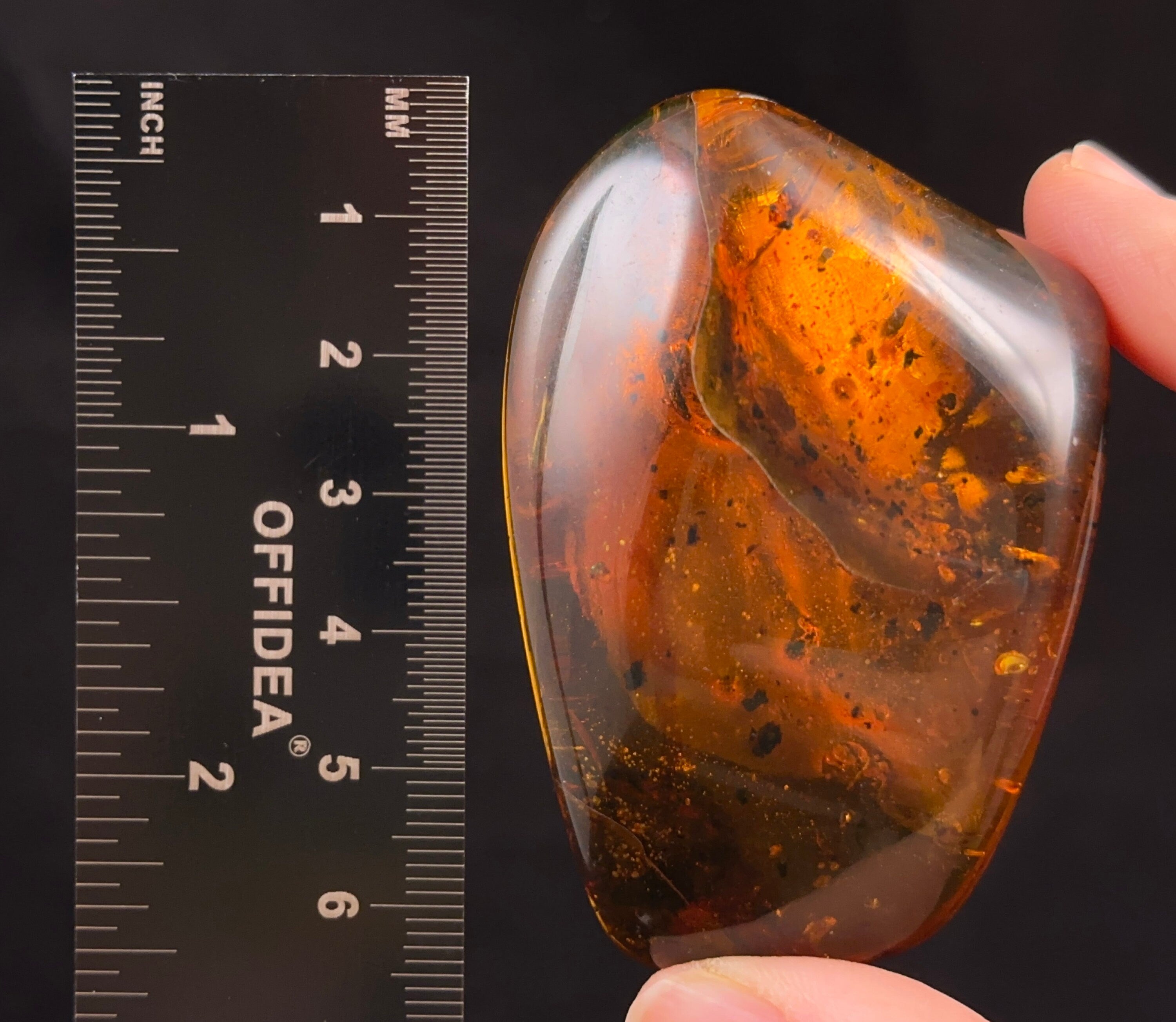 Natural Amber Stone with Insect Inclusion - Genuine Fossilized Tumbled Crystals for Healing & Collection | Perfect for Jewelry Making, Meditation & Home Decor