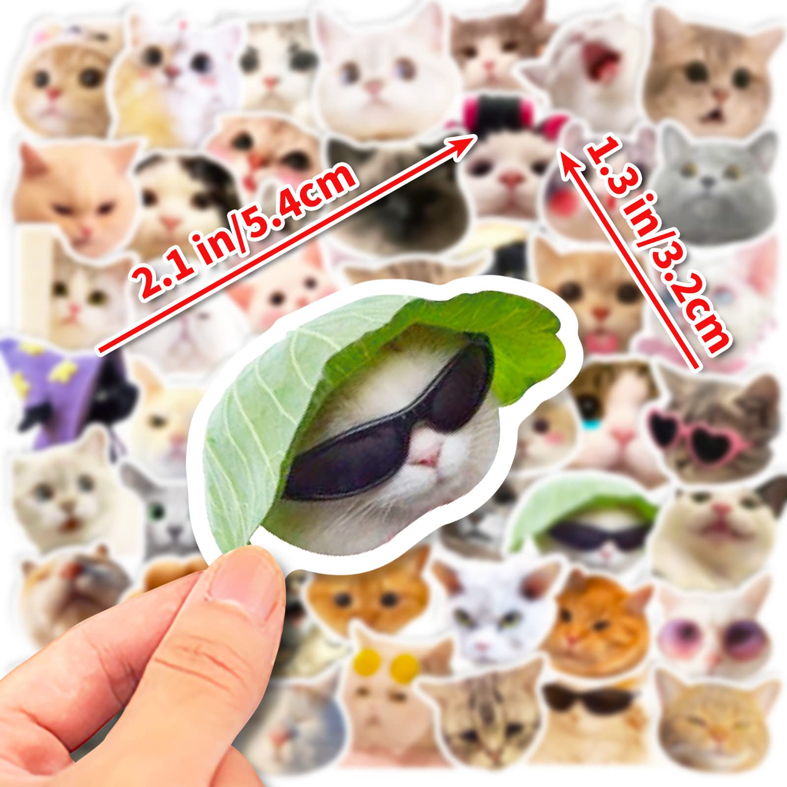 100 Pcs Funny Cat Stickers - Cute Cat Meme Vinyl Decals for Water Bottles, Laptops, Luggage, Skateboards & Bicycles | Waterproof Durable Stickers for Teens & Adults | Perfect for DIY Crafts, School Supplies & Gift Decorations