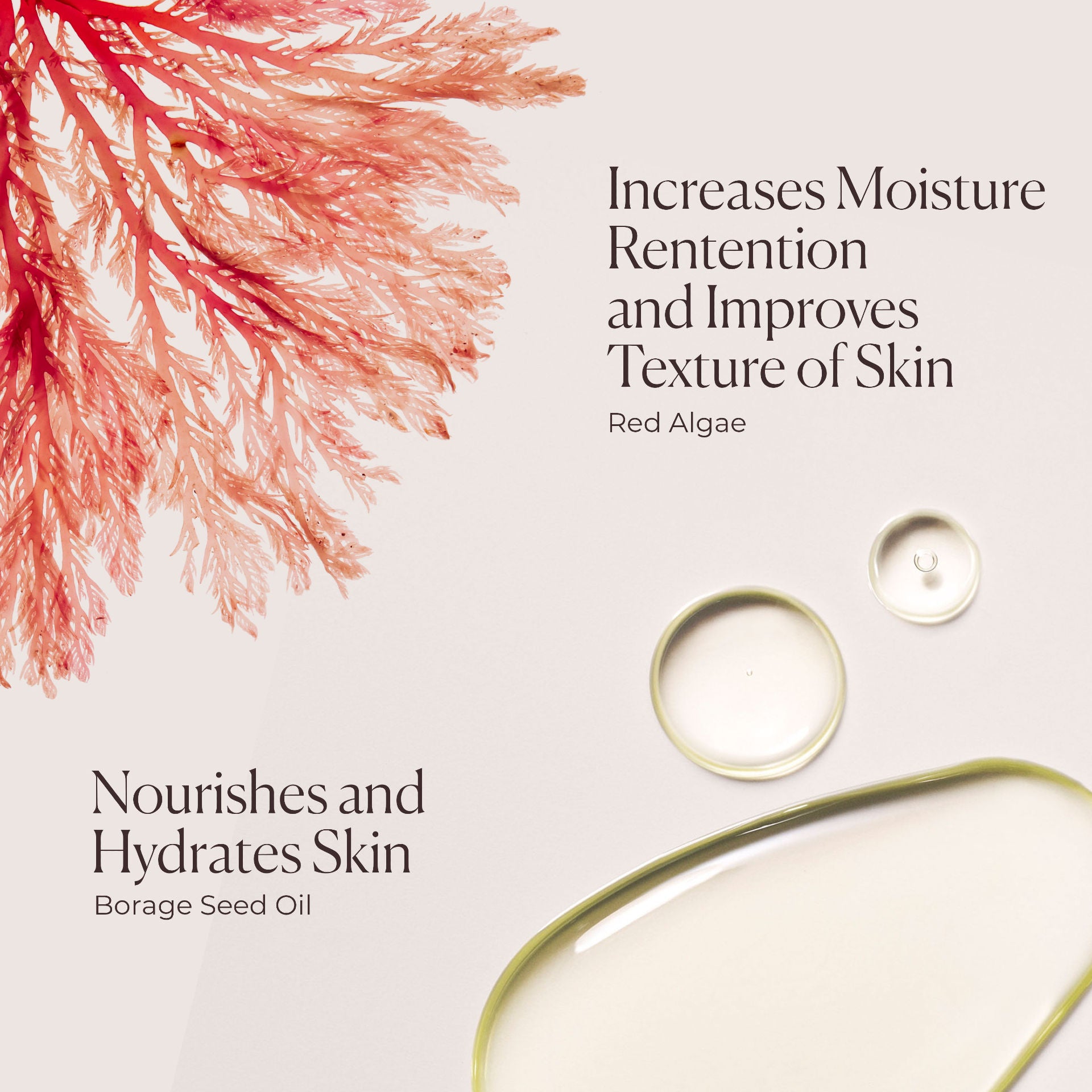 Laura Mercier Honey Bath - Luxurious Moisturizing Body Wash for Soft & Glowing Skin | Perfect for Relaxing Bath Time & Spa Day at Home