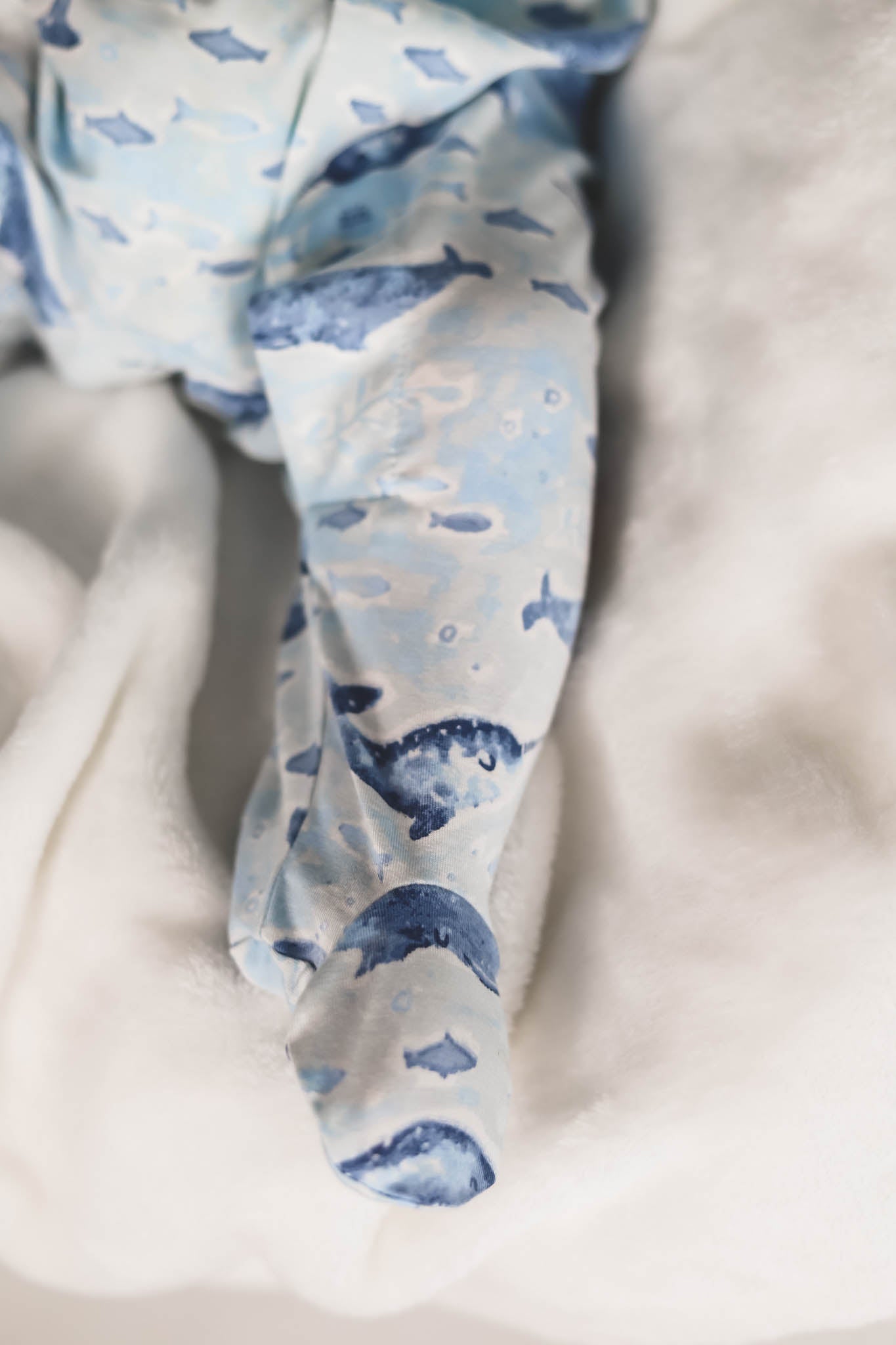 Fanta Sea Cove Magnetic Footie - Baby Socks with Secure Magnetic Closure for Boys & Girls - Perfect for Newborns, Infants & Toddlers - Ideal for Playtime, Outings & Keeping Little Feet Warm