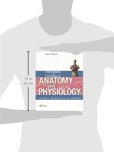 Essentials of Anatomy and Physiology Student Workbook - Comprehensive Study Guide for Medical & Nursing Students | Perfect for Classroom Learning & Exam Preparation