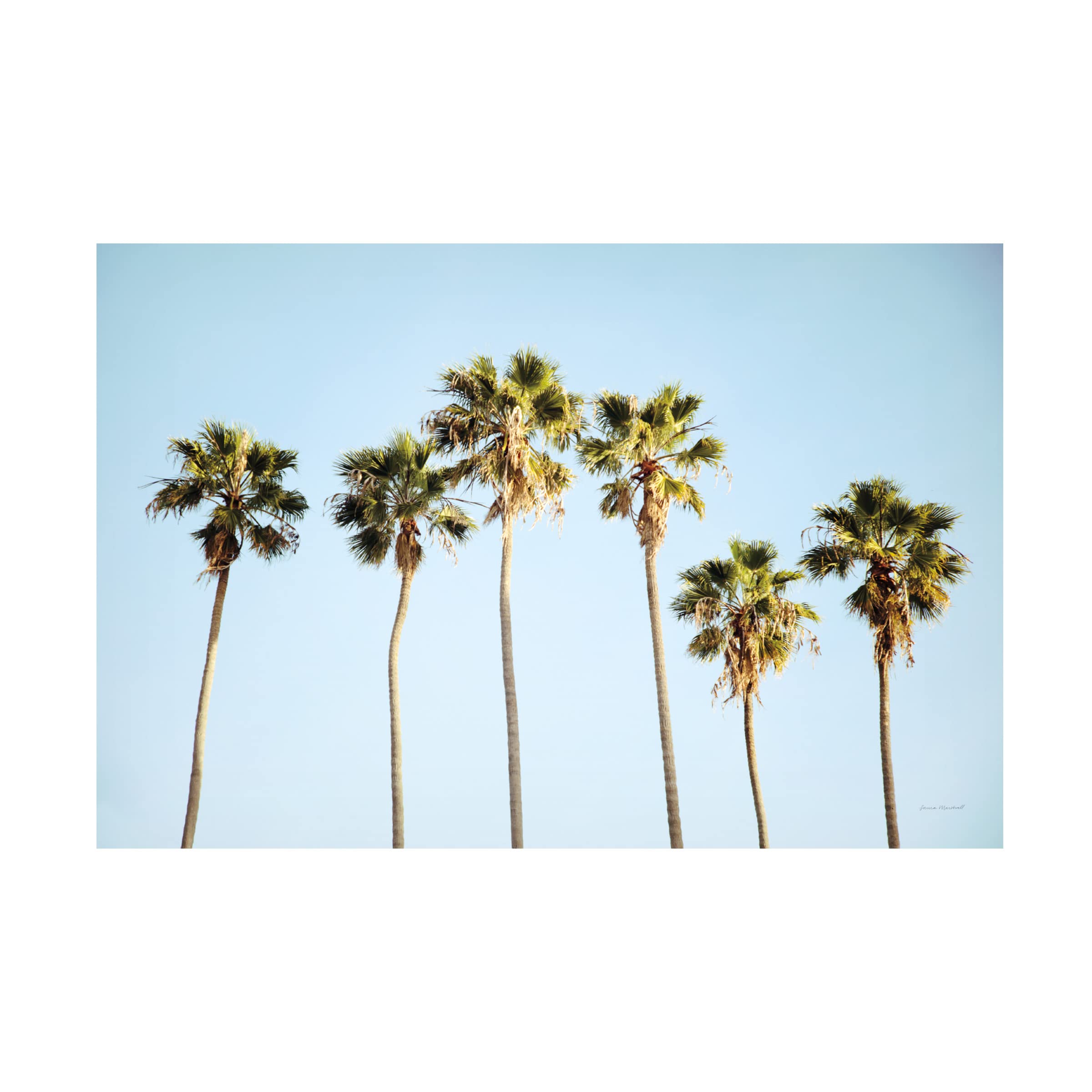 Laura Marshall 'Summer V' Canvas Wall Art Print - Modern Home Decor for Living Room, Bedroom & Office - Trademark Fine Art Collection