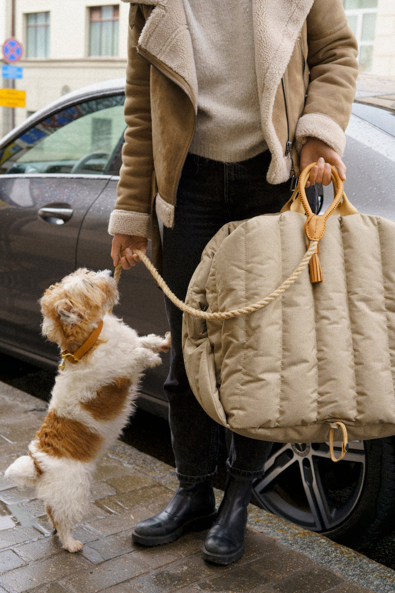 Premium Beige Dog Car Seat - Comfortable & Secure Pet Travel Carrier for Small to Medium Dogs - Perfect for Road Trips, Daily Commutes & Vet Visits