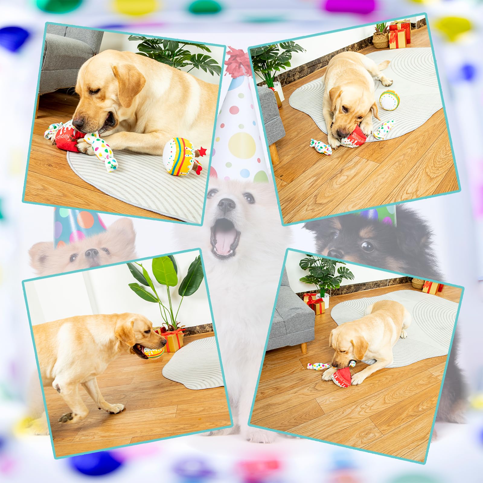 Dog Birthday Toy & Cake Plush with Squeaker - Fun Birthday Gift for Small, Medium & Large Dogs - Perfect for Puppy Parties & Celebration Playtime
