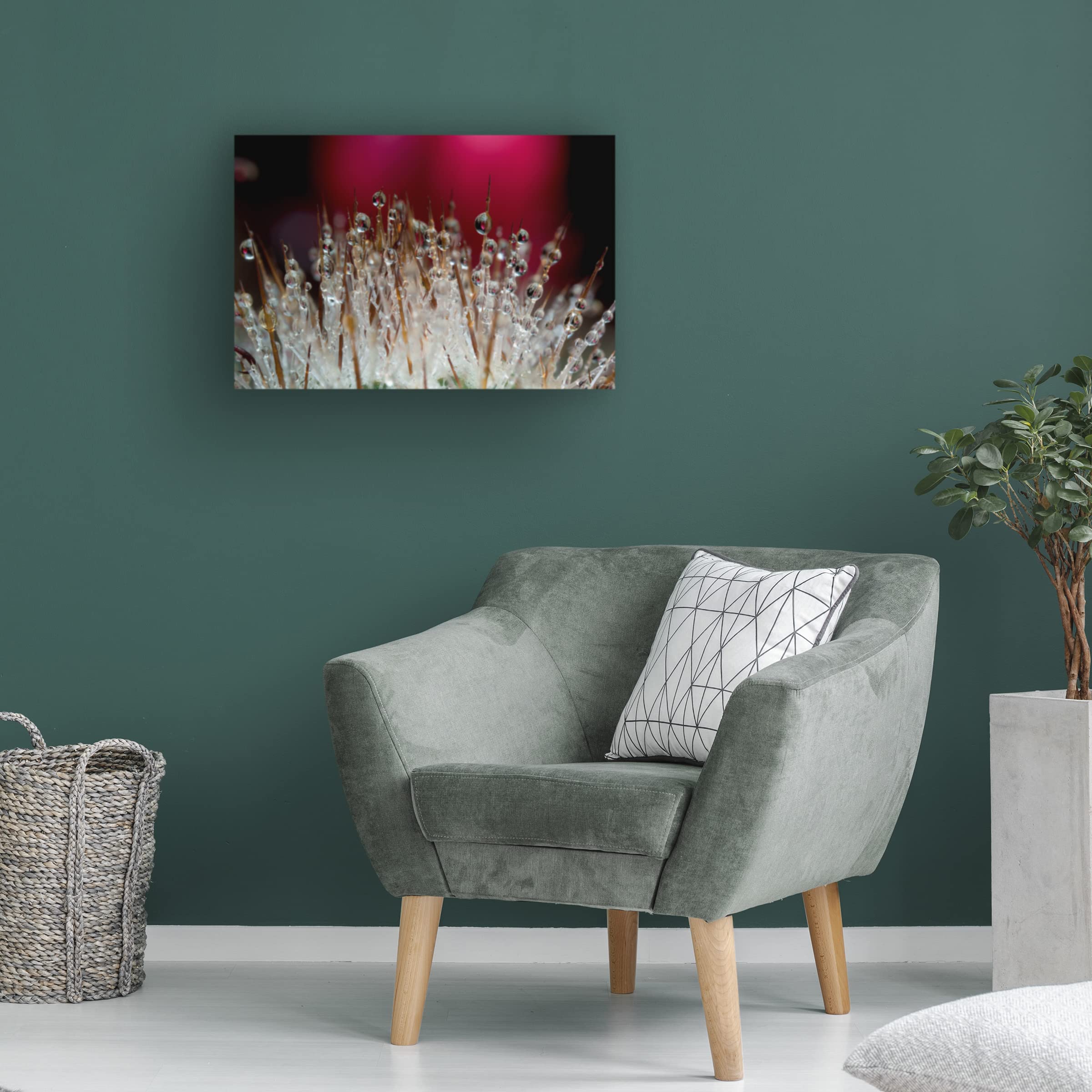 Gordon Semmens 'Cactus Flowers 07' Canvas Wall Art Print - 16x24 Inches - Modern Desert Botanical Decor for Living Room, Bedroom & Office