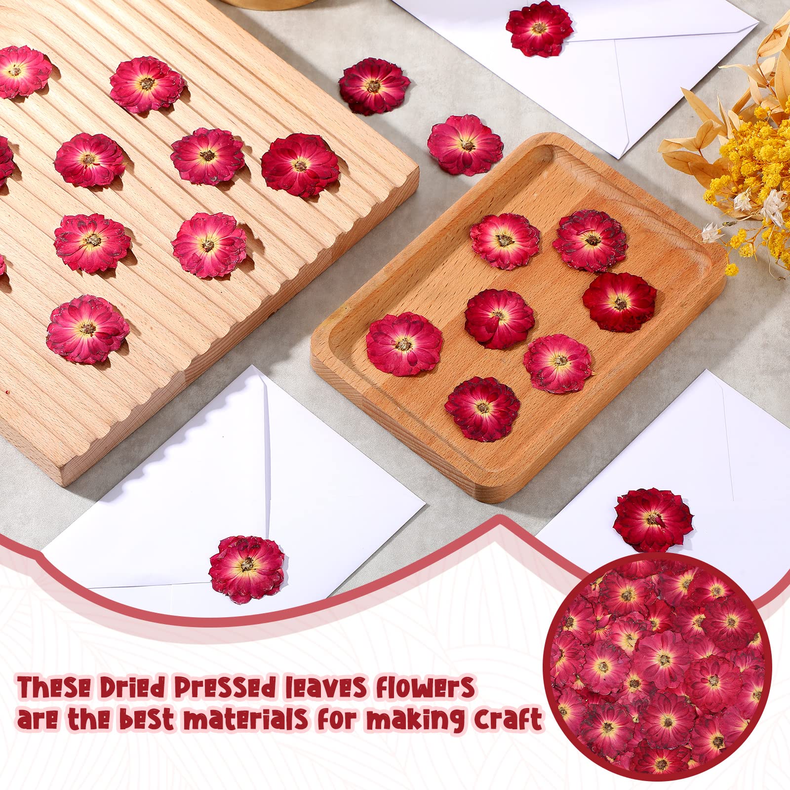 100 Pcs Dried Pressed Flowers - Natural Real Small Dry Flowers for Resin Crafts, Candle Making, Scrapbooking, Jewelry DIY & Home Decor (Red) - Perfect for Wedding Invitations, Soap Making & Art Projects