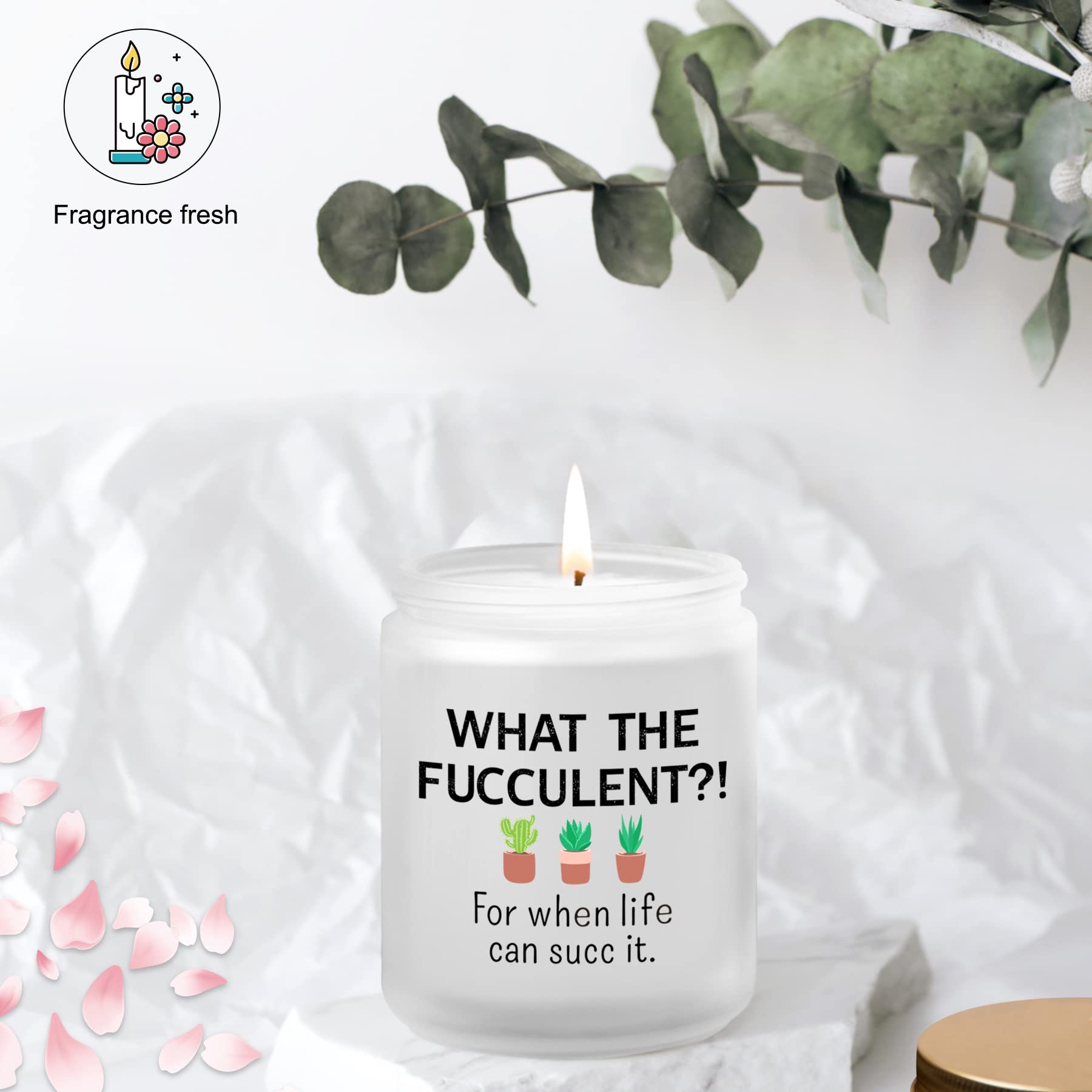 Funny & Unique Gifts for Women - Cactus Succulents & Lemongrass Sage Candles (7oz) - Perfect Birthday, Christmas, Friendship Presents for BFF, Sister, Female Coworker, or Men - Ideal for Home Decor, Relaxation, and Thoughtful Gestures