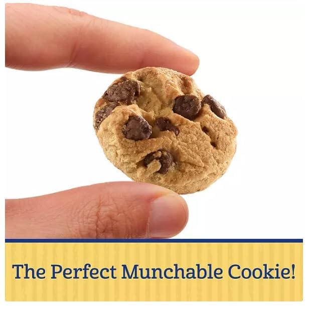 Famous Amos Chocolate Chip Cookies - Pack of 16 (2oz Bags) | Bulk Snacks for Office, Parties & School Lunches | Crunchy Homemade-Style Cookies