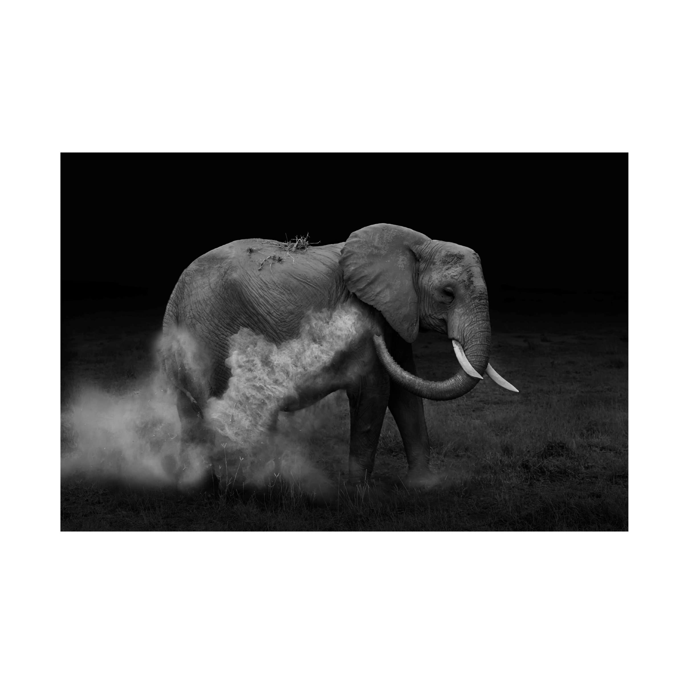 Trademark Fine Art 'Elephant Sand Bathing' Canvas Wall Art Print by Yun Wang - Perfect for Living Room, Bedroom & Office Decor