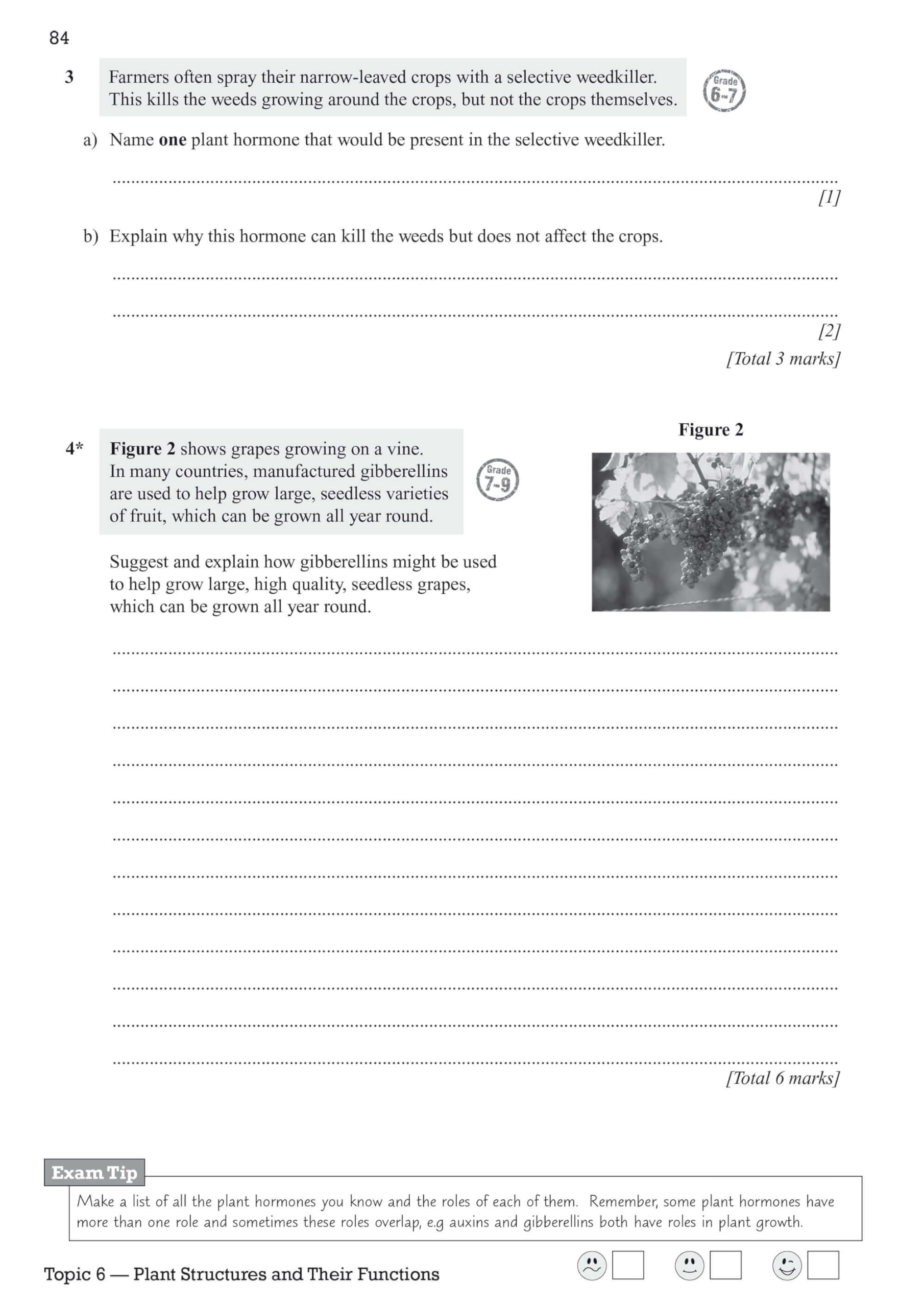 GCSE Biology Edexcel Exam Practice Workbook with Answers - CGP Edexcel GCSE Biology Study Guide for 2025 & 2026 Exams | Perfect for Home Study, Classroom Revision & Exam Preparation