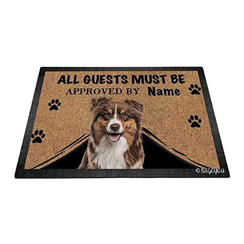 Lovely Australian Shepherd