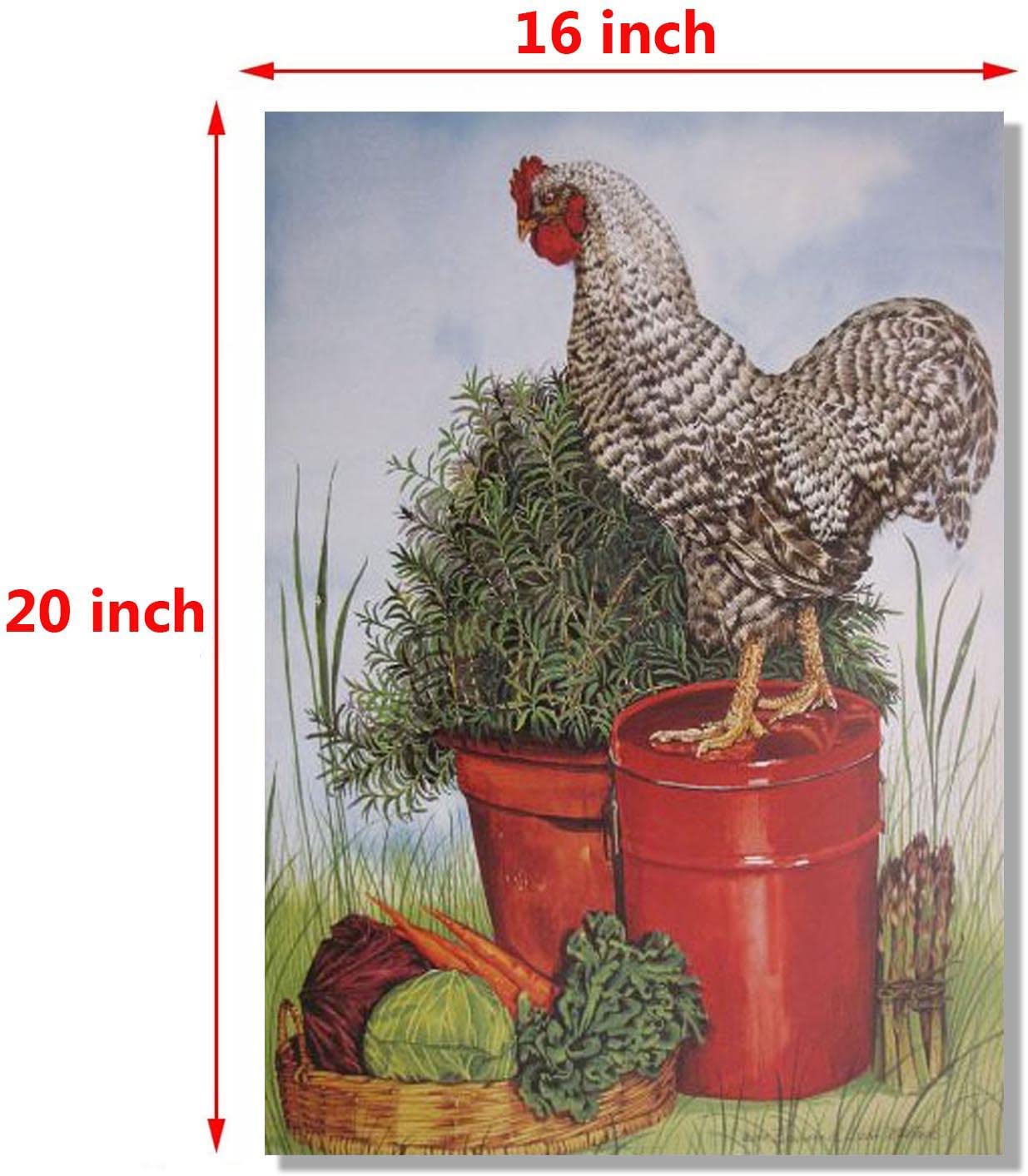 Barred Plymouth Rock Rooster Chicken Wall Art Print - 16x20 Inch Farmhouse Decor Poster - Perfect for Kitchen, Living Room & Country Style Home Decor