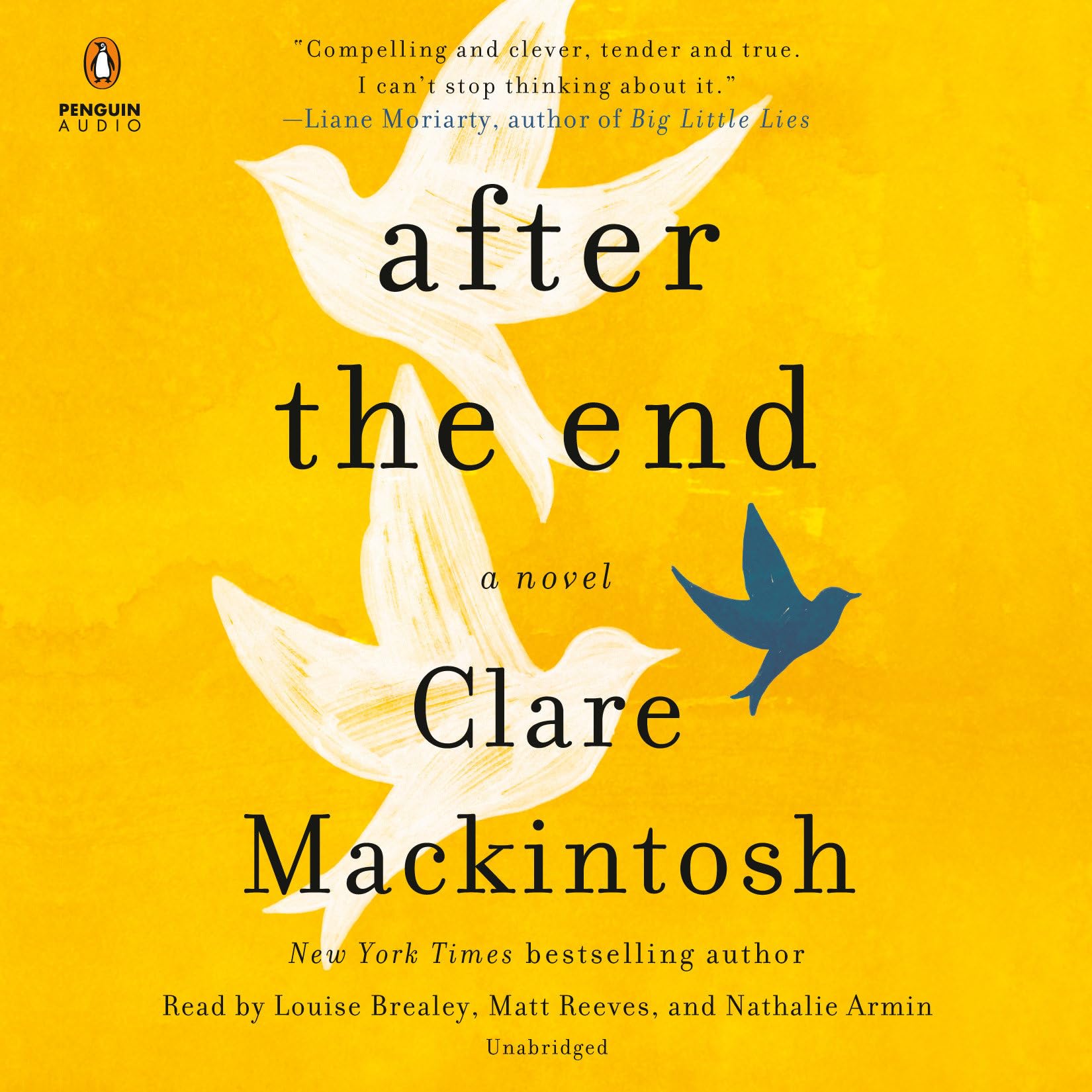 After the End - Post-Apocalyptic Survival Novel | Dystopian Fiction Book for Adults | Perfect for Book Clubs & Apocalypse-Themed Reading