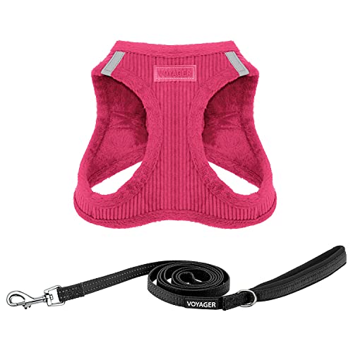 Harness Leash Set (Fuchsia Corduroy)
