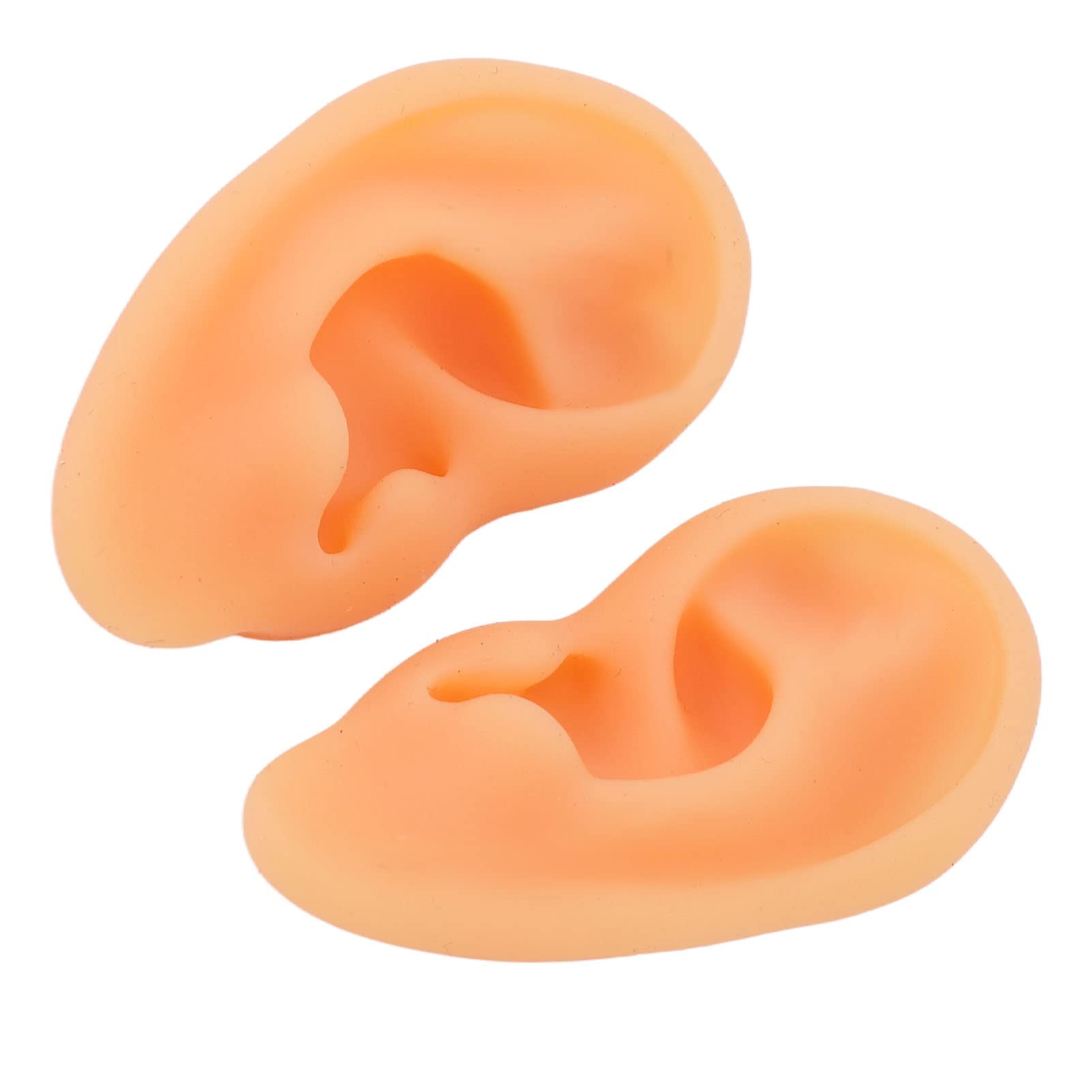 2-Piece Clear Human Ear Model - Flexible & Waterproof Acupuncture Ear Anatomy for Doctors & Medical Students | Perfect for Study, Training & Acupuncture Practice
