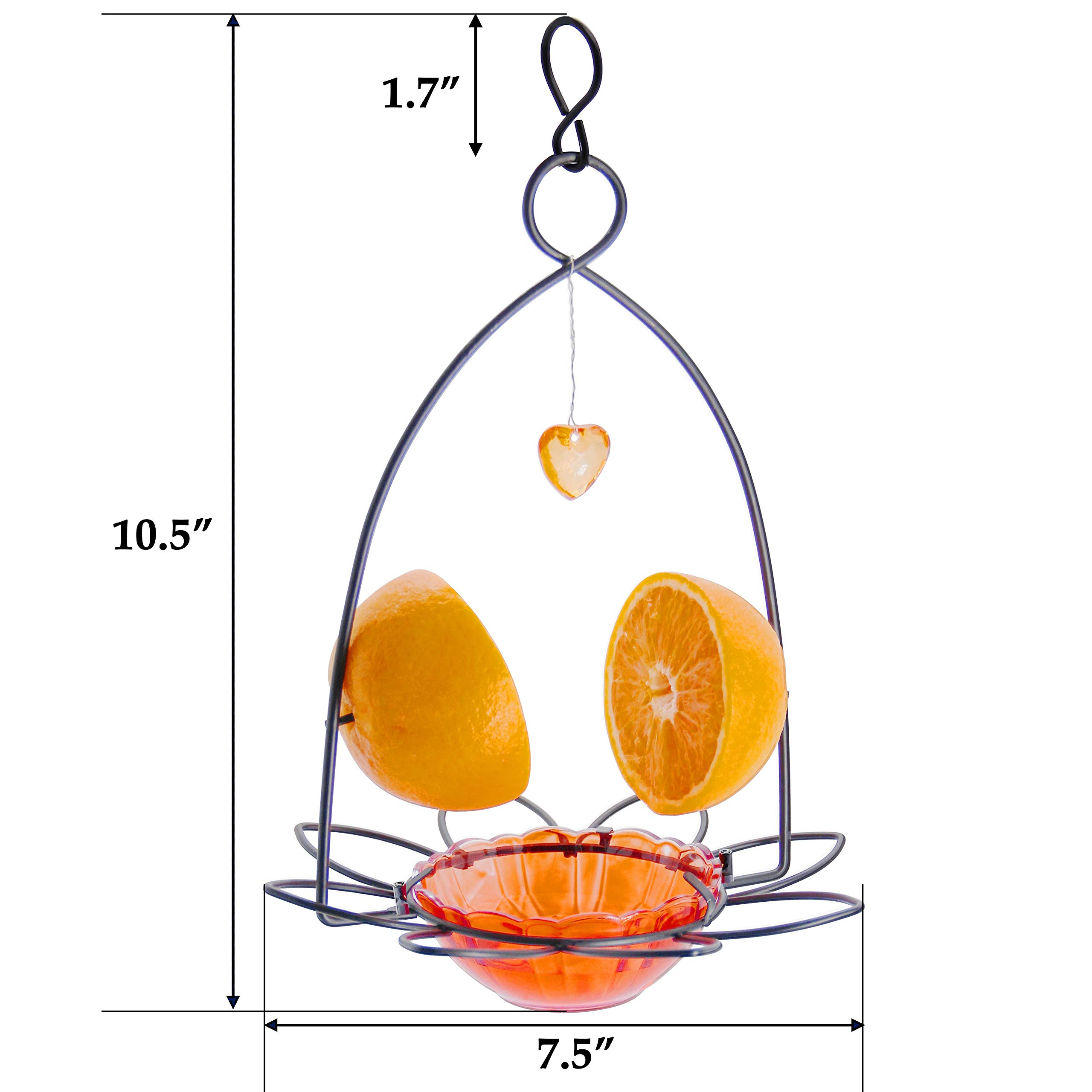 FORUP Oriole Bird Feeder with Orange Fruit Design - Attract Orioles to Your Garden | Perfect for Backyards, Patios & Outdoor Bird Watching
