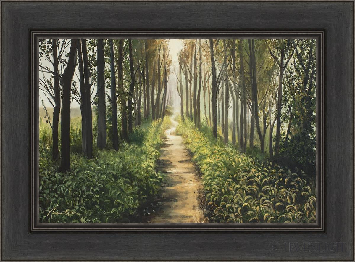 Forest Walkway - Beautiful Wooden Pathway for Gardens, Parks & Trails | Perfect for Outdoor Decor & Nature Walks