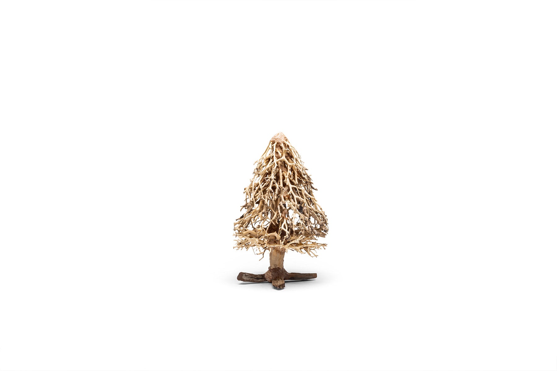 UNS Bonsai 009 - Premium Miniature Bonsai Tree for Home & Office Decor | Perfect Gift for Plant Lovers & Zen Garden Enthusiasts