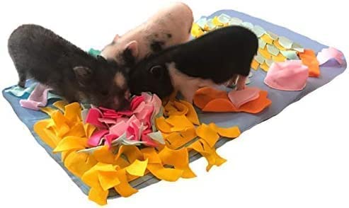 Premium Pet Box Bundle: Interactive Toys for Dogs, Cats, Rabbits & Small Animals - Chew Toys, Treat Balls, Snuffle Mats & Puzzle Games for Mental Stimulation | Perfect for Indoor Play, Training Rewards & Anxiety Relief