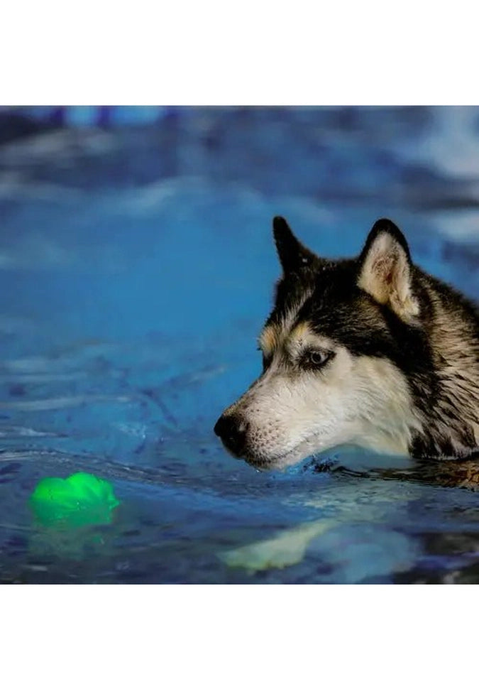 Nite Ize GLOWSTREAK WILD LED Ball & Disc - High Visibility Glow in The Dark Dog Toy for Nighttime Fetch, Outdoor Play, and Beach Activities