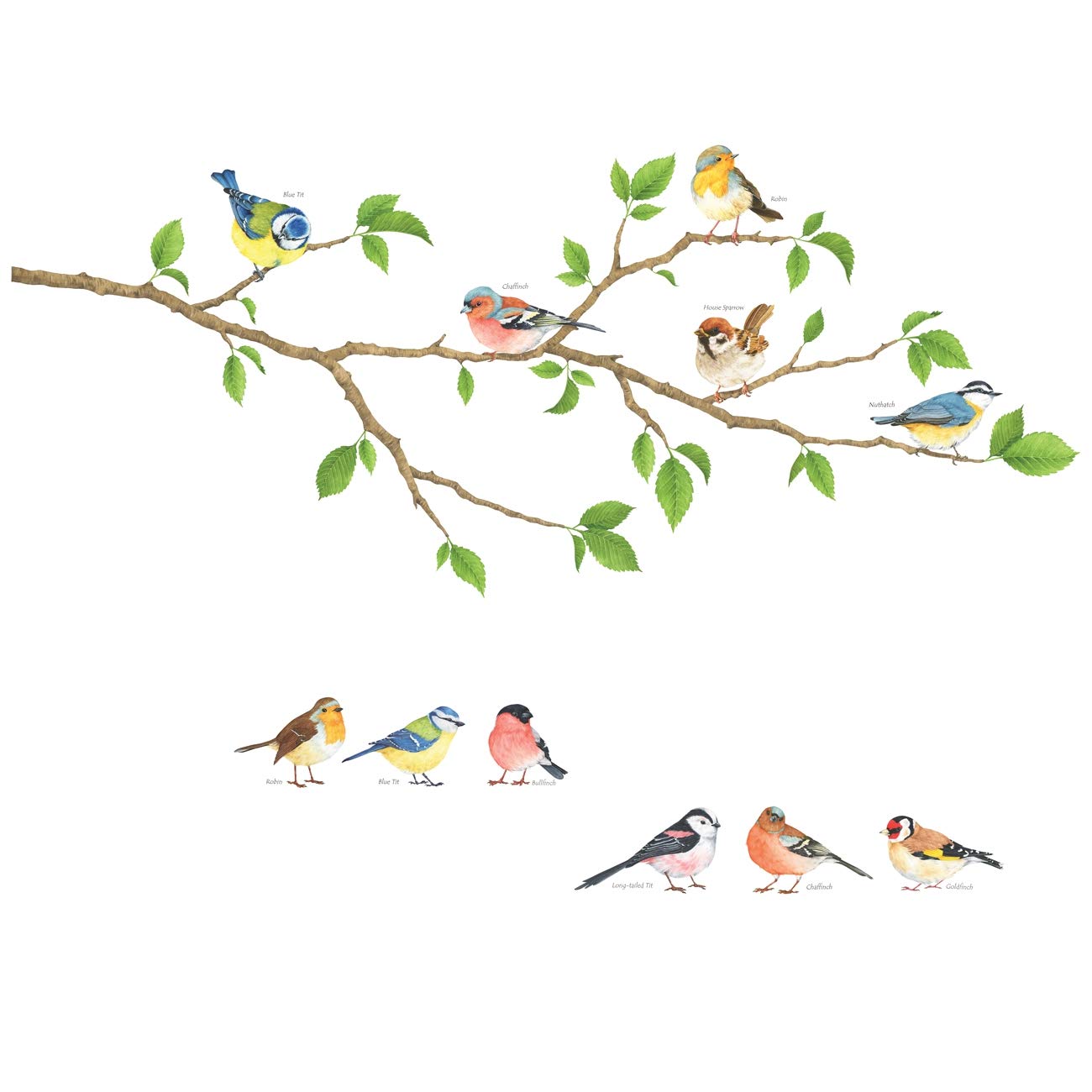 DECOWALL DS4-8036 Peel and Stick Removable Wall Stickers - Garden Birds Design for Kids Nursery, Bedroom & Living Room Decor | Perfect for DIY Home Decor, Children's Room Makeover & Wall Art Projects
