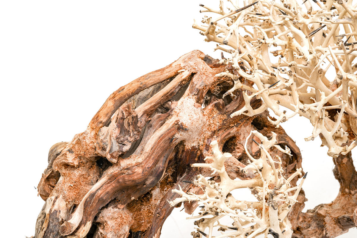 Premium Uns Bonsai 013 - High-Quality Artificial Bonsai Tree for Home & Office Decor | Perfect for Zen Gardens, Living Rooms, and Desk Decorations