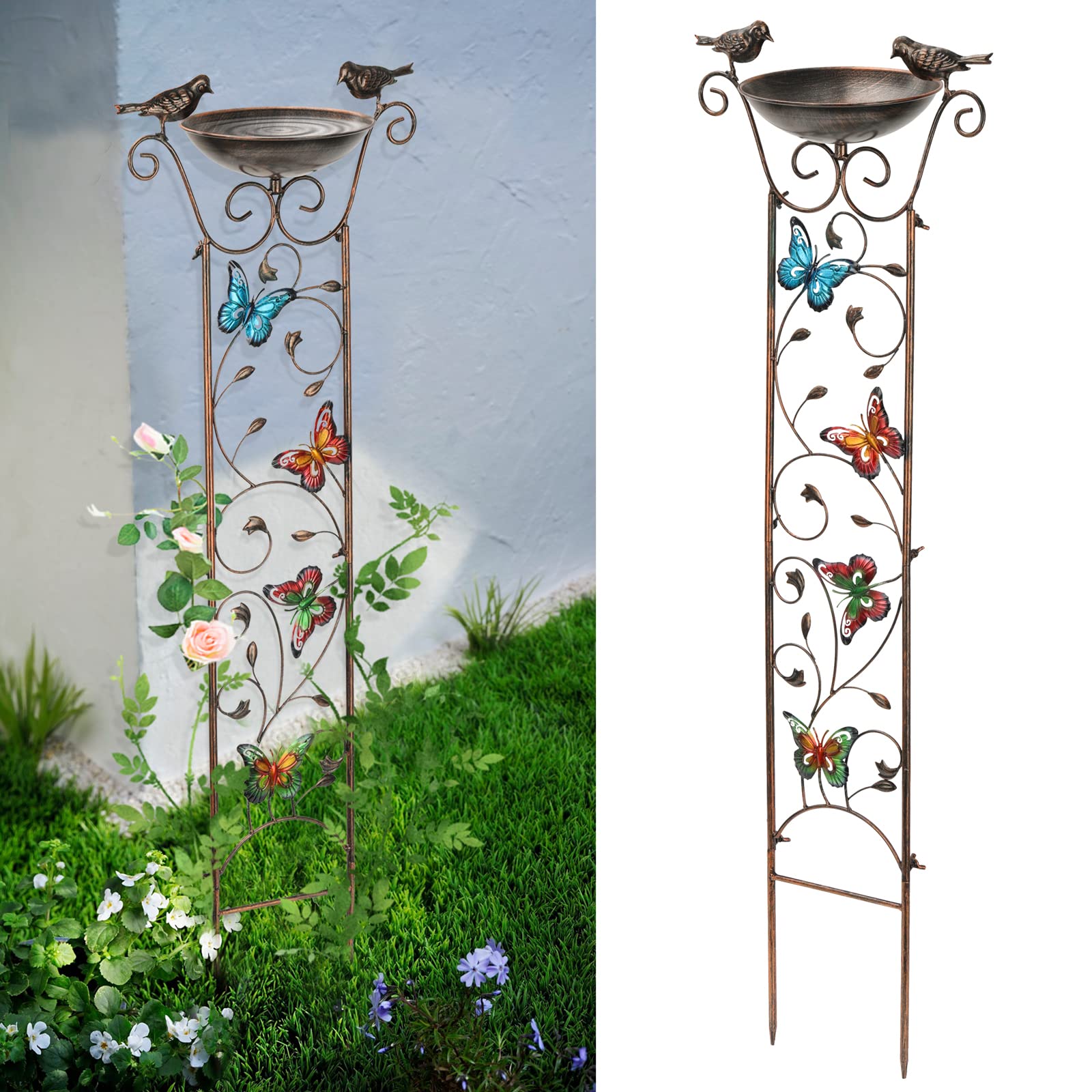 The Enchanted Garden: A Tale of Beauty and Transformation